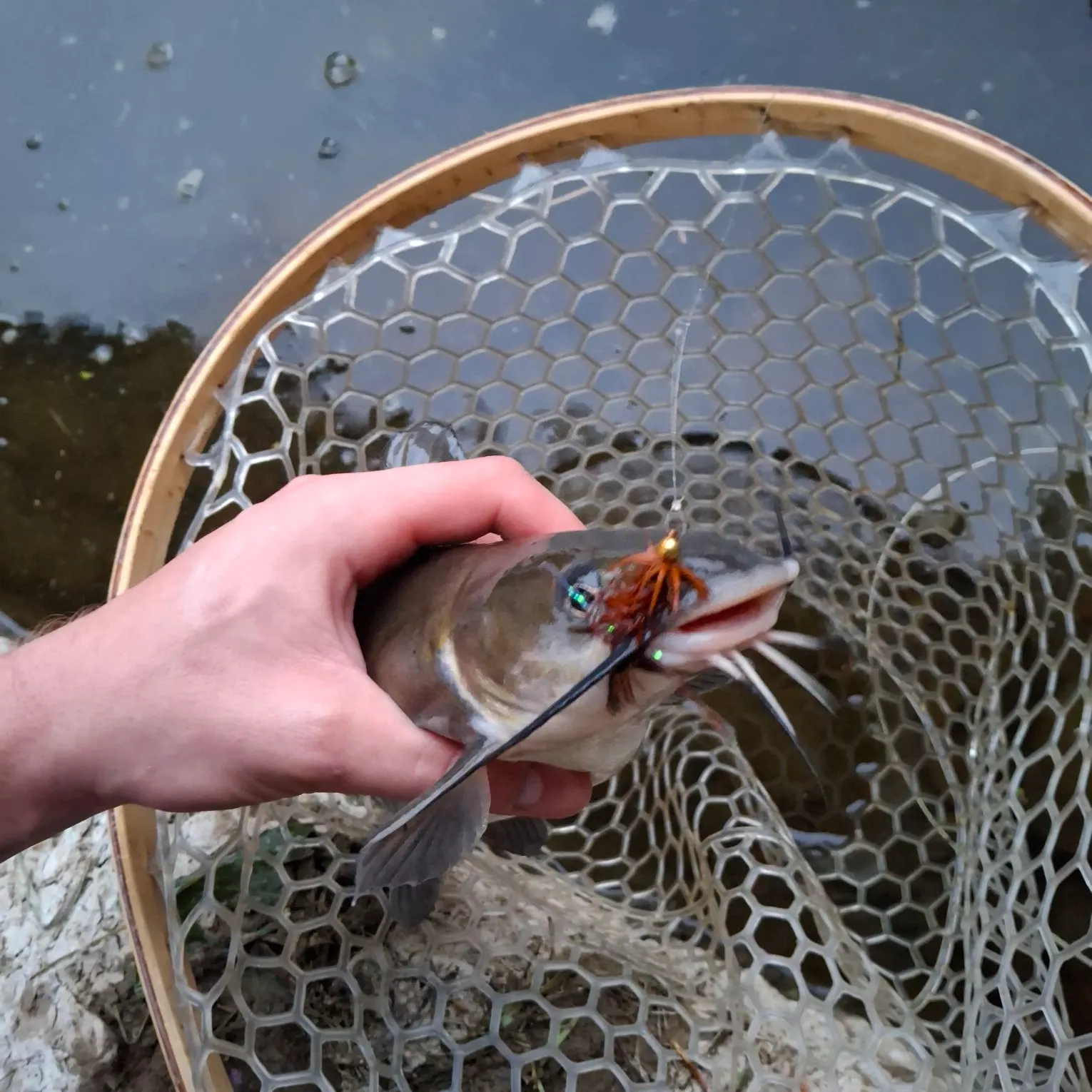 catch