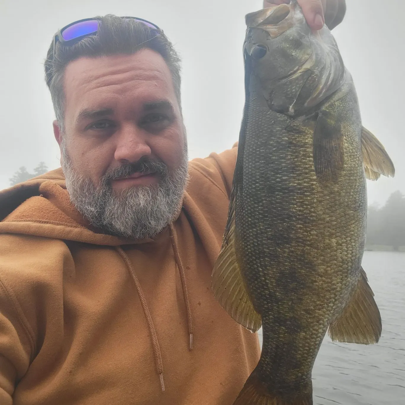 Smallmouth bass caught on Fishbrain