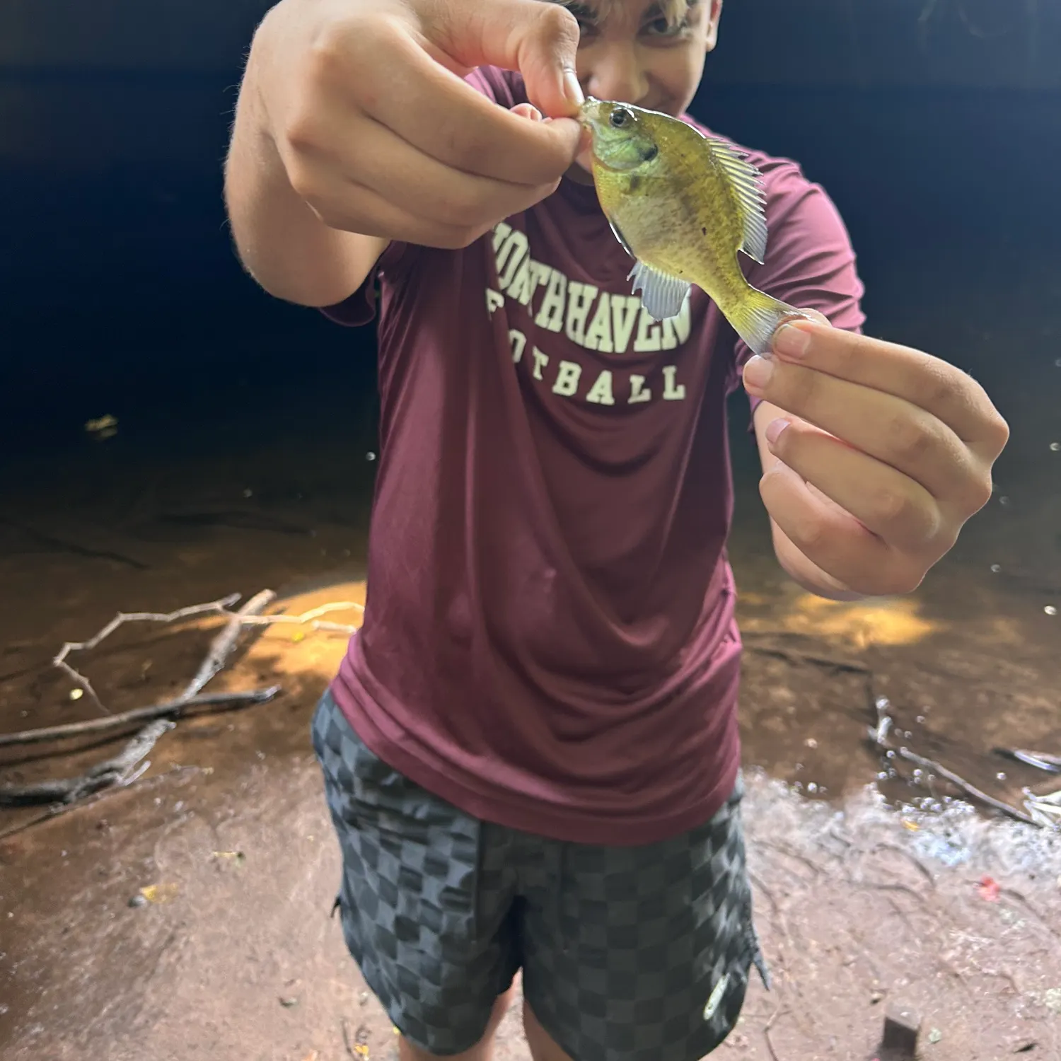 Bluegill caught on Fishbrain