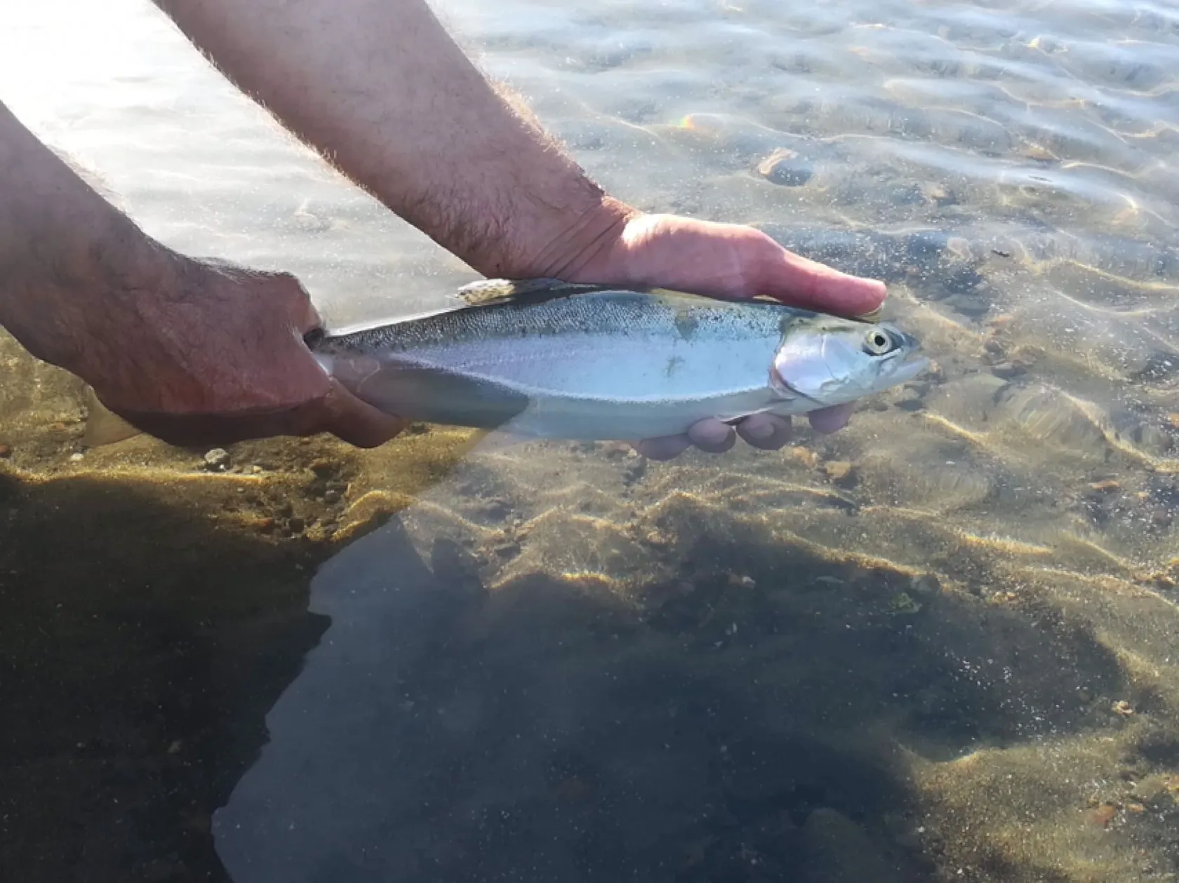 Post image from jordanazzopardi