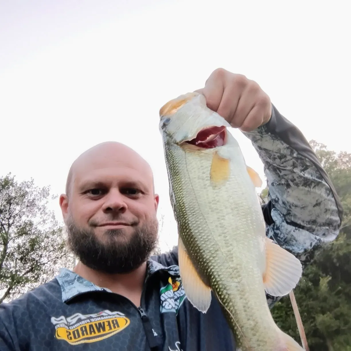 Largemouth bass caught on Fishbrain