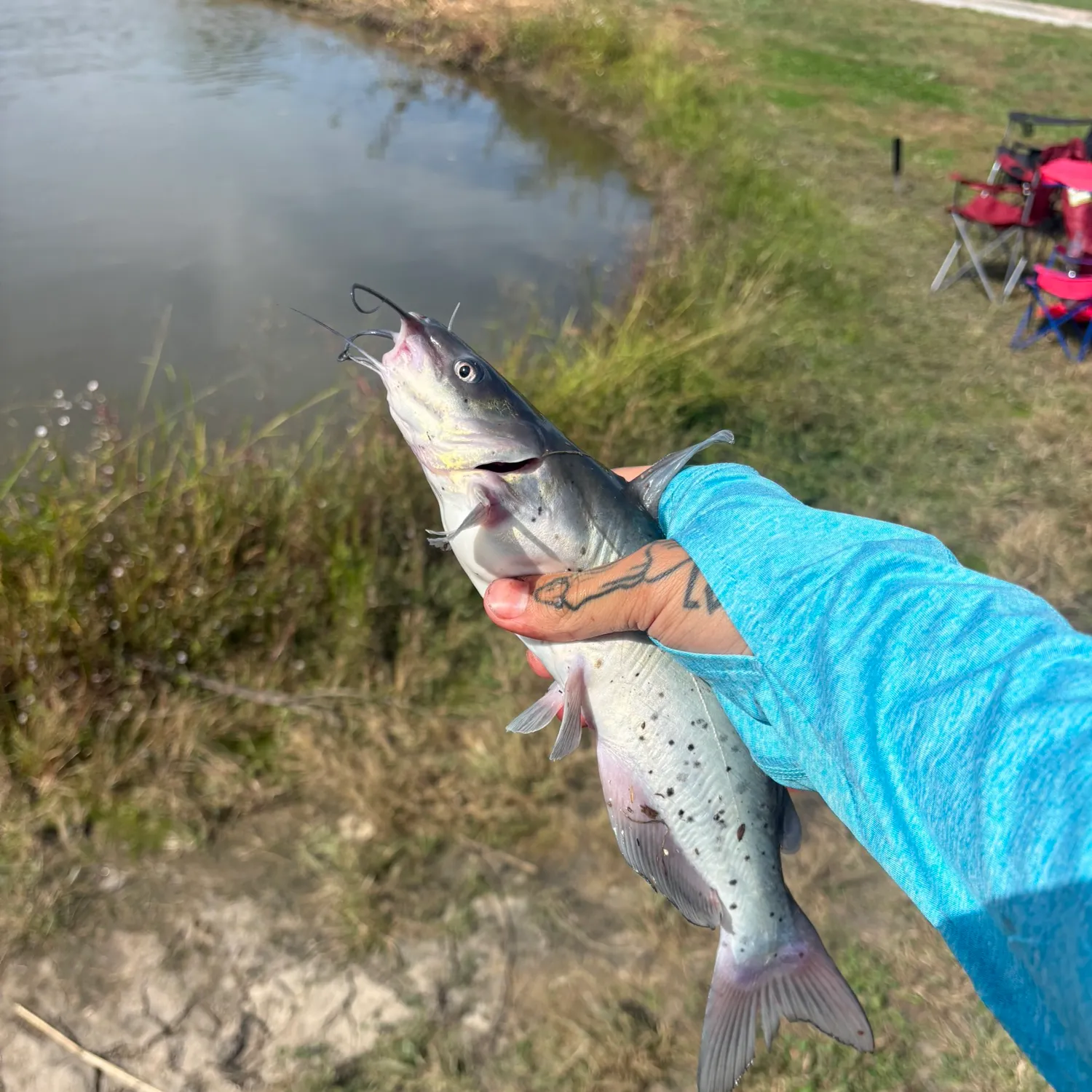 catch