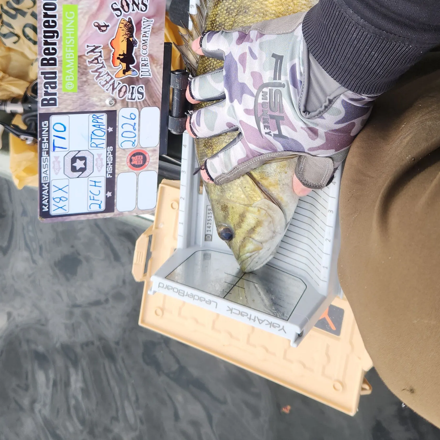 recently logged catches