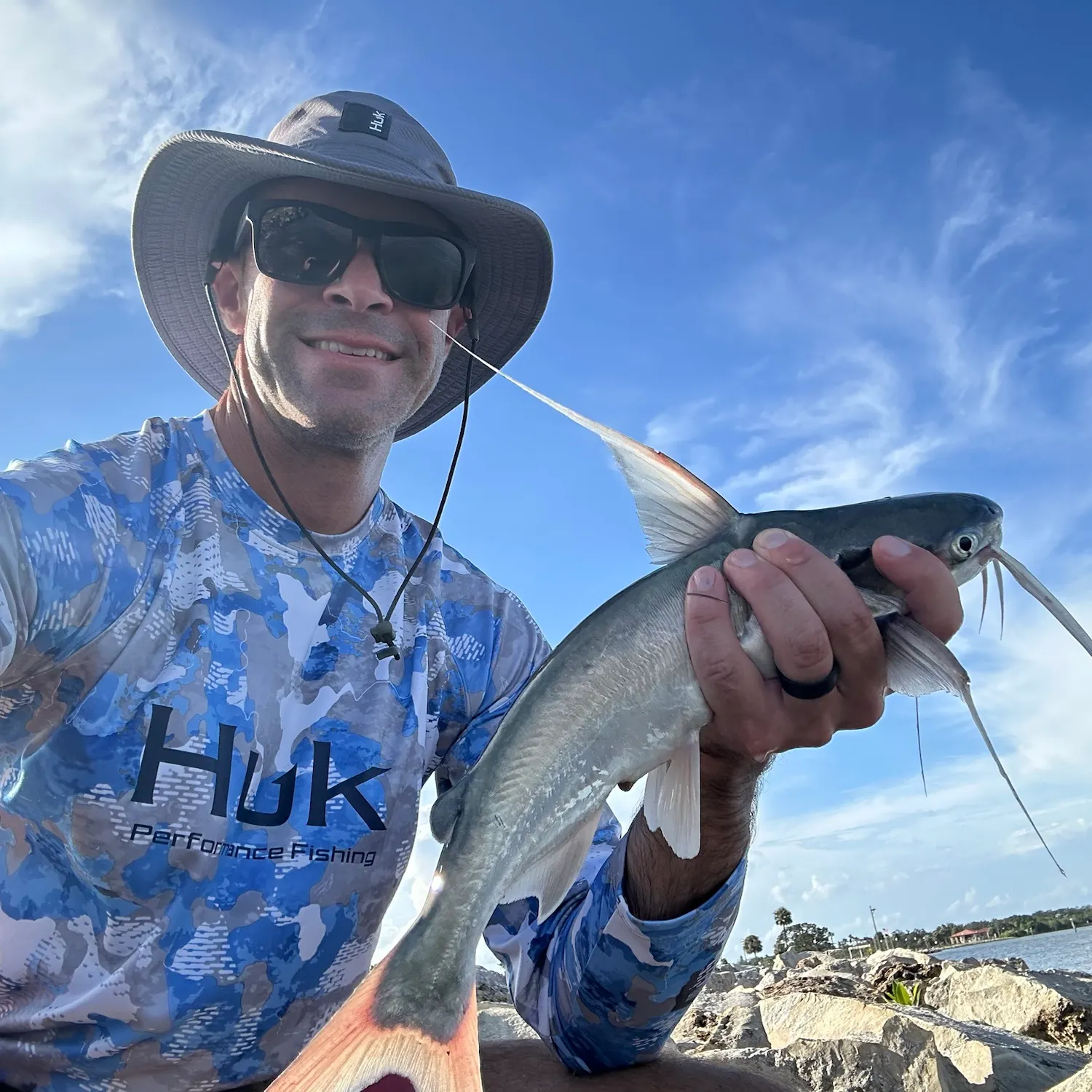 Gafftopsail sea catfish caught on Fishbrain