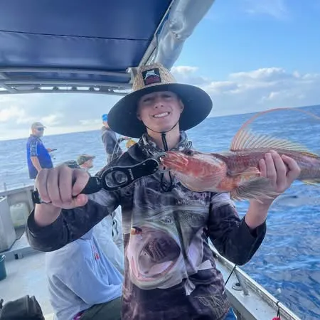 The most recent Sergeant Baker catches on Fishbrain