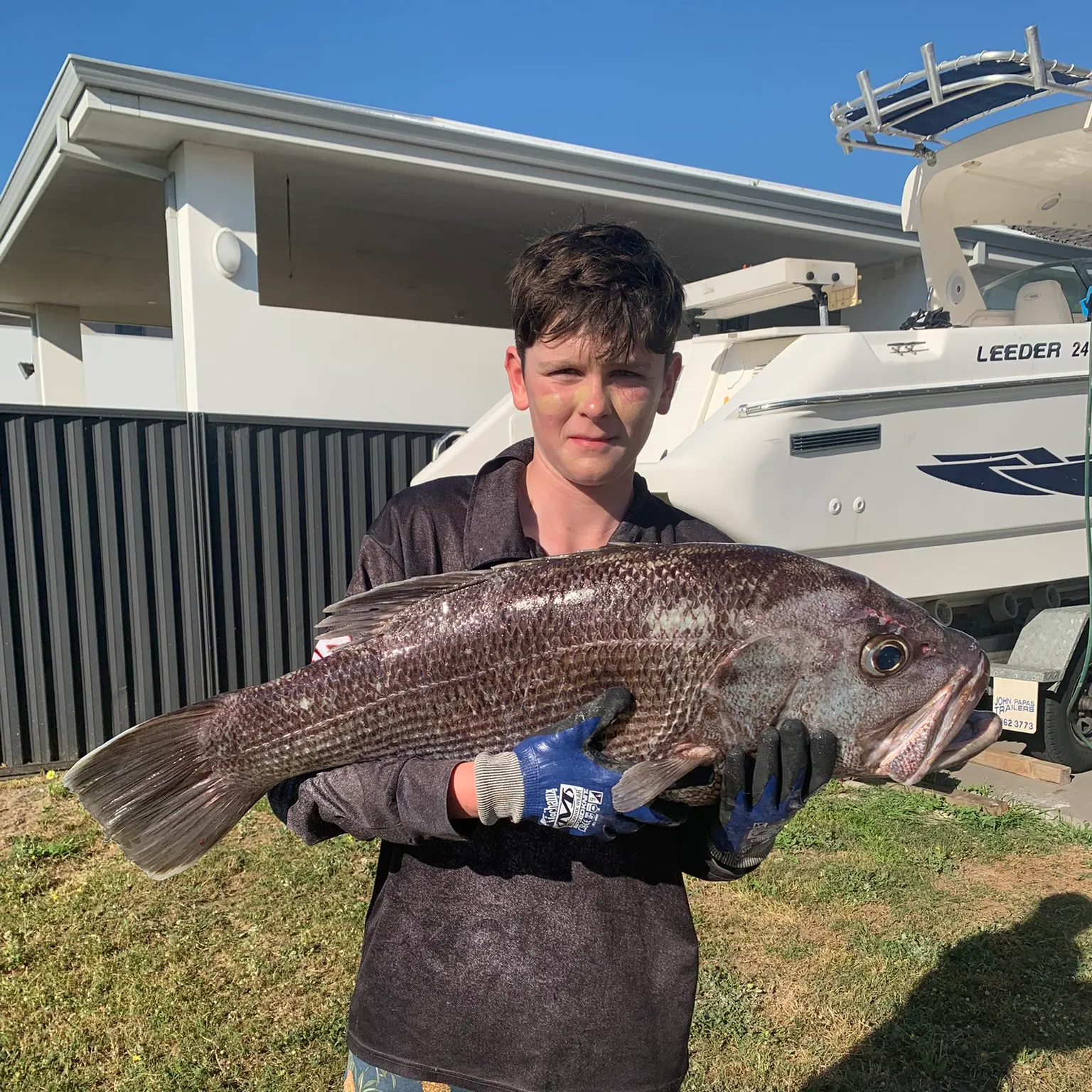 The most recent Westralian jewfish catches on Fishbrain