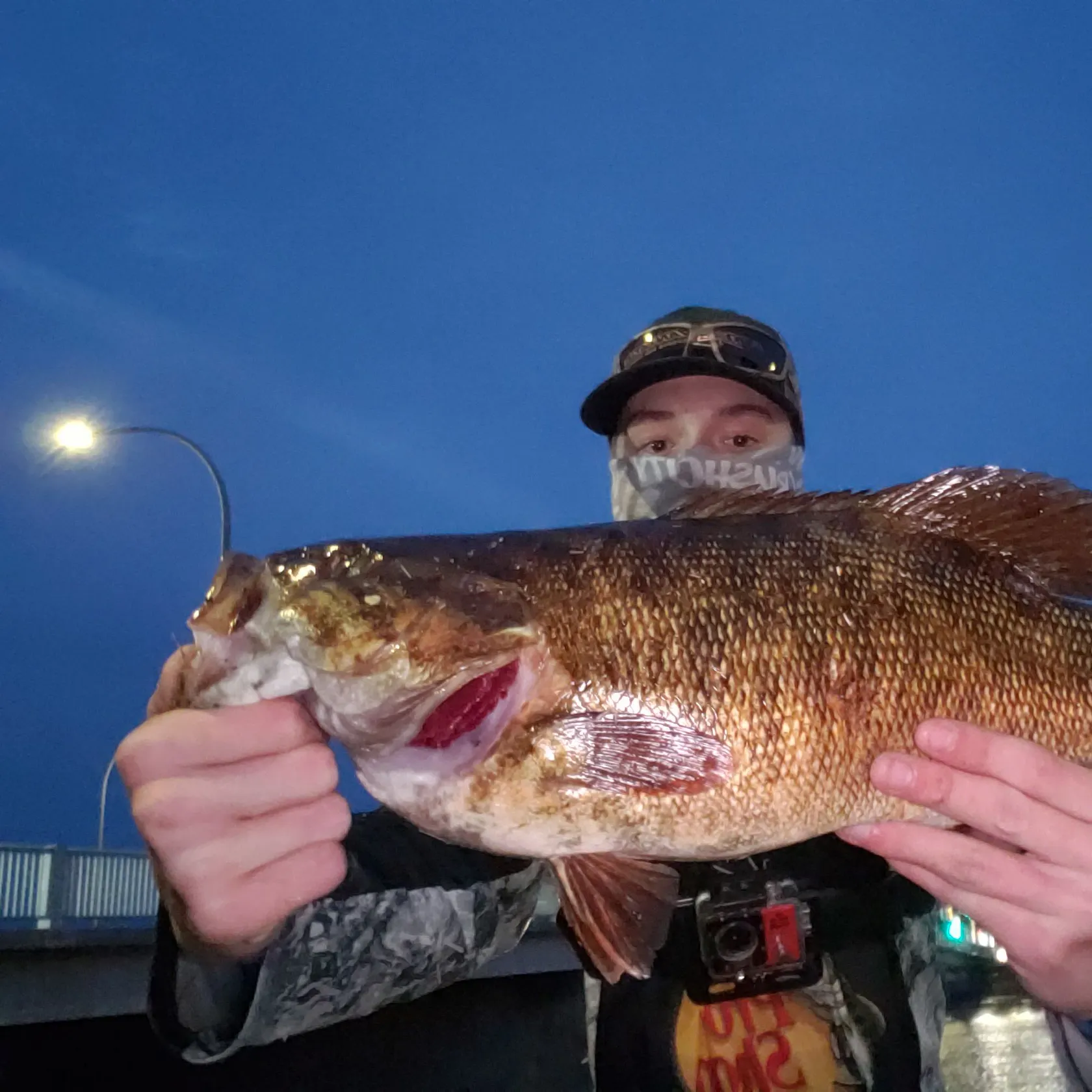 Smallmouth bass caught on Fishbrain