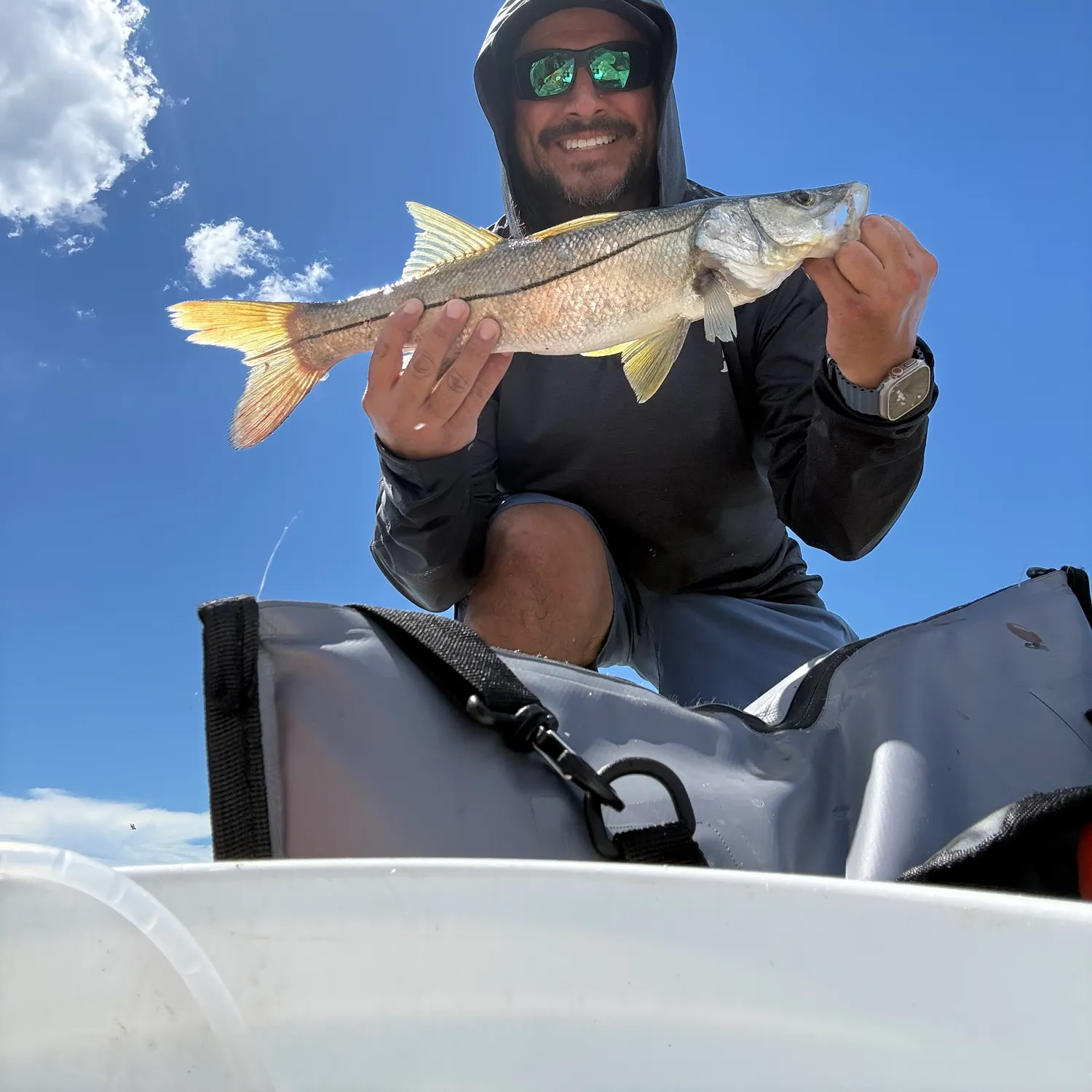Common snook caught on Fishbrain