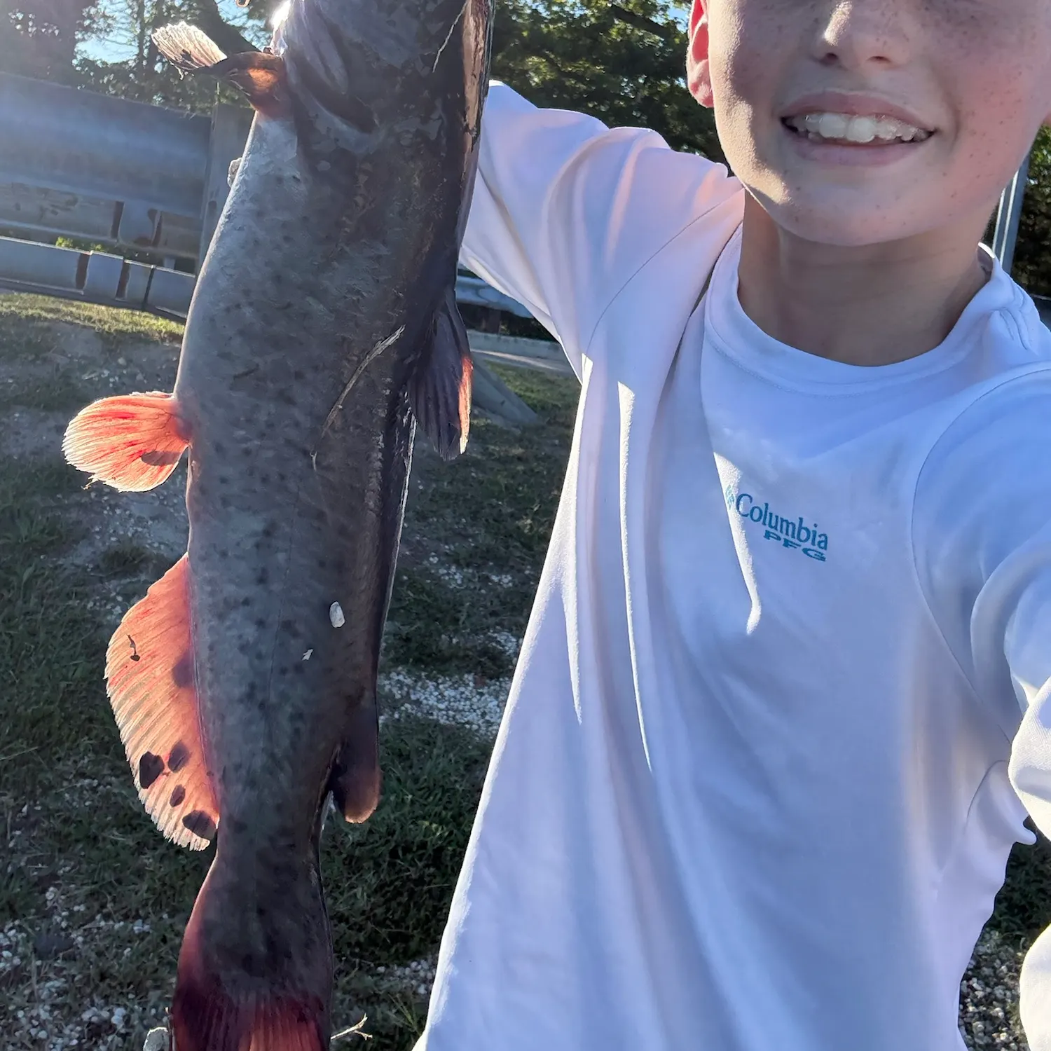 White bullhead caught on Fishbrain