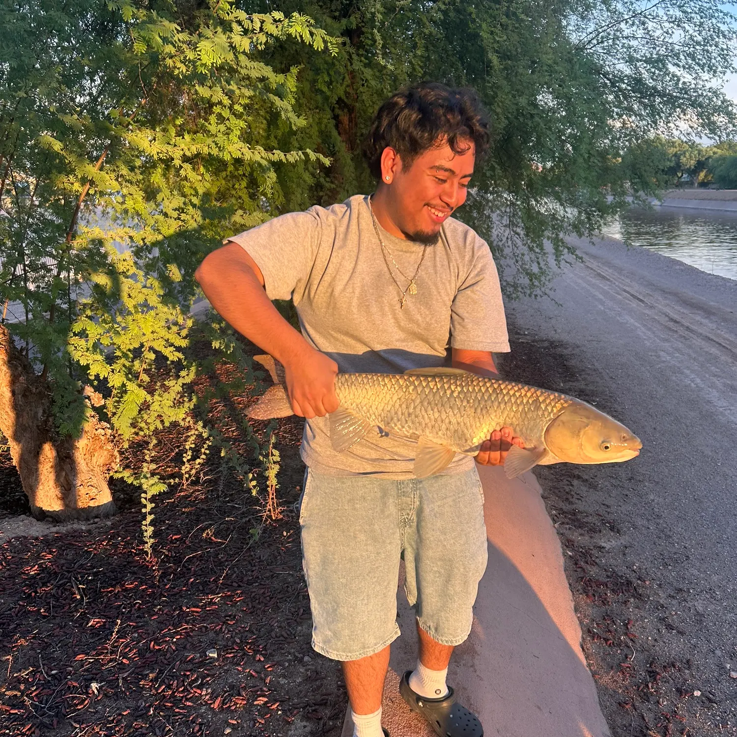 Grass carp caught on Fishbrain