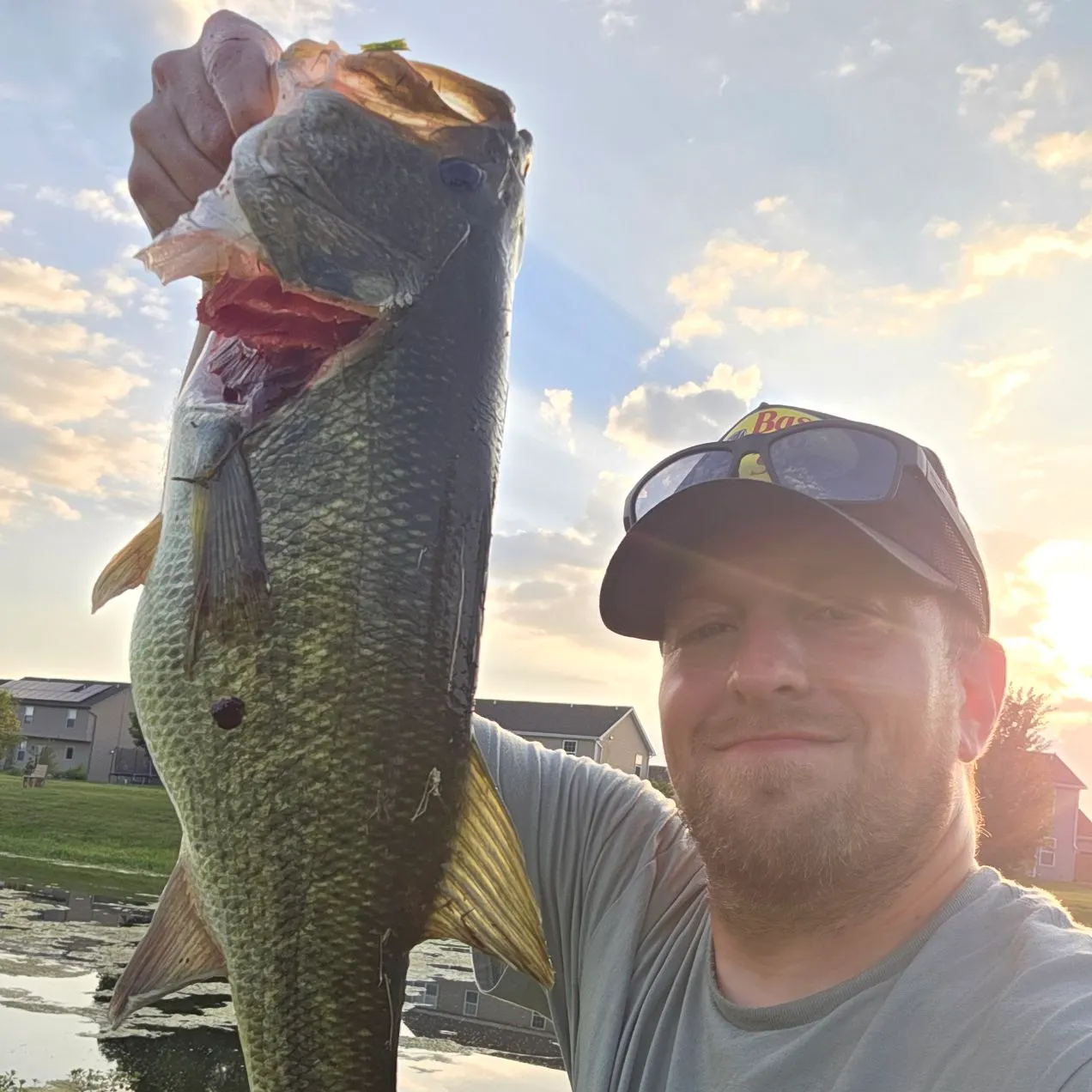 Largemouth bass caught on Fishbrain