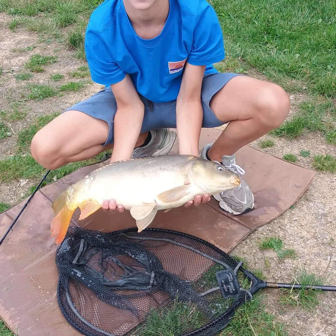The most recent Leather carp catches on Fishbrain