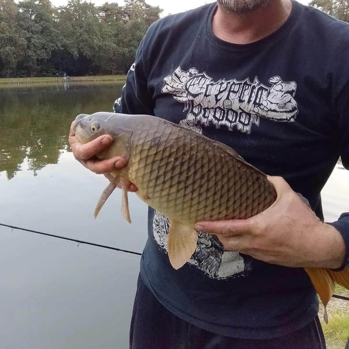 Common carp caught on Fishbrain
