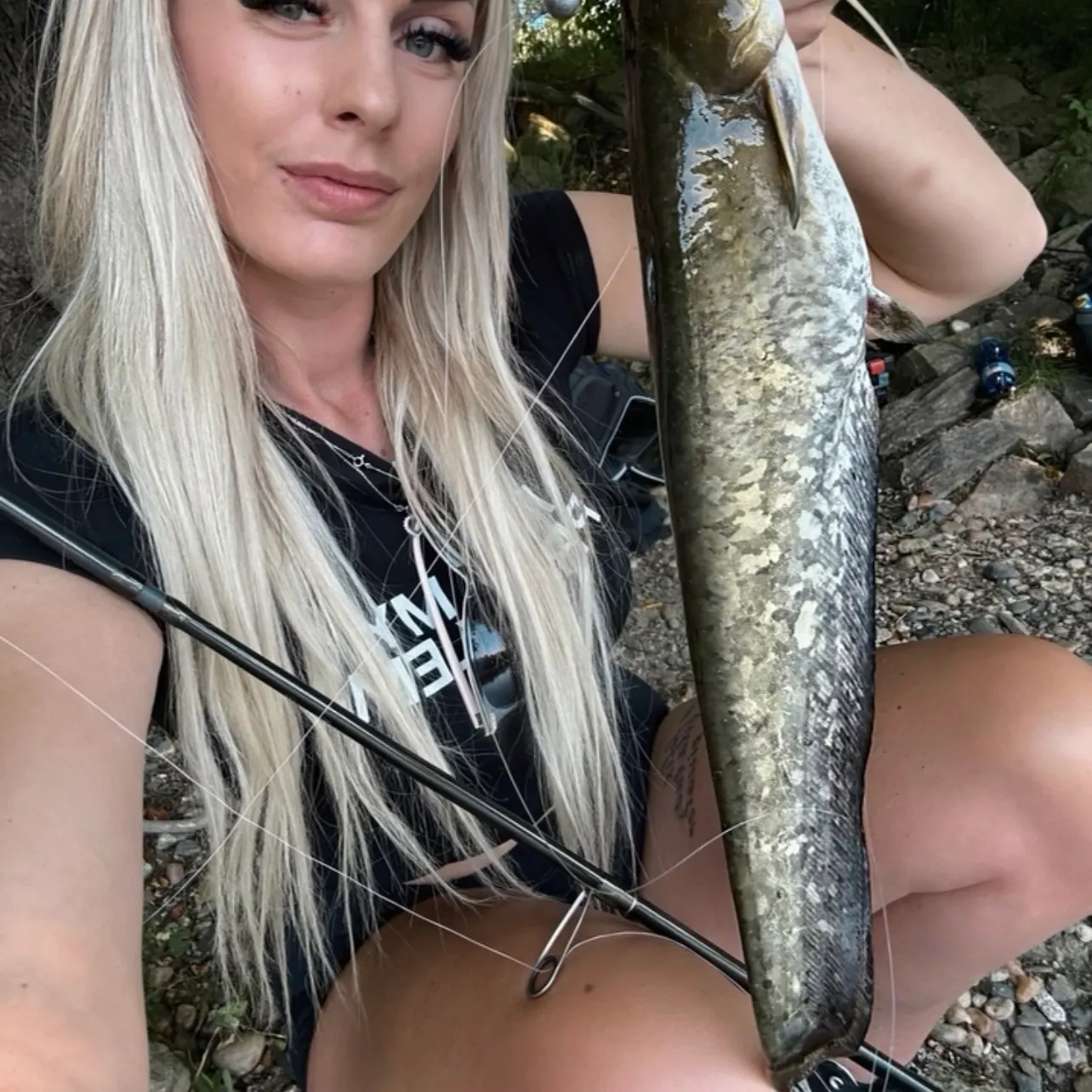 The most recent Wels catfish catches on Fishbrain