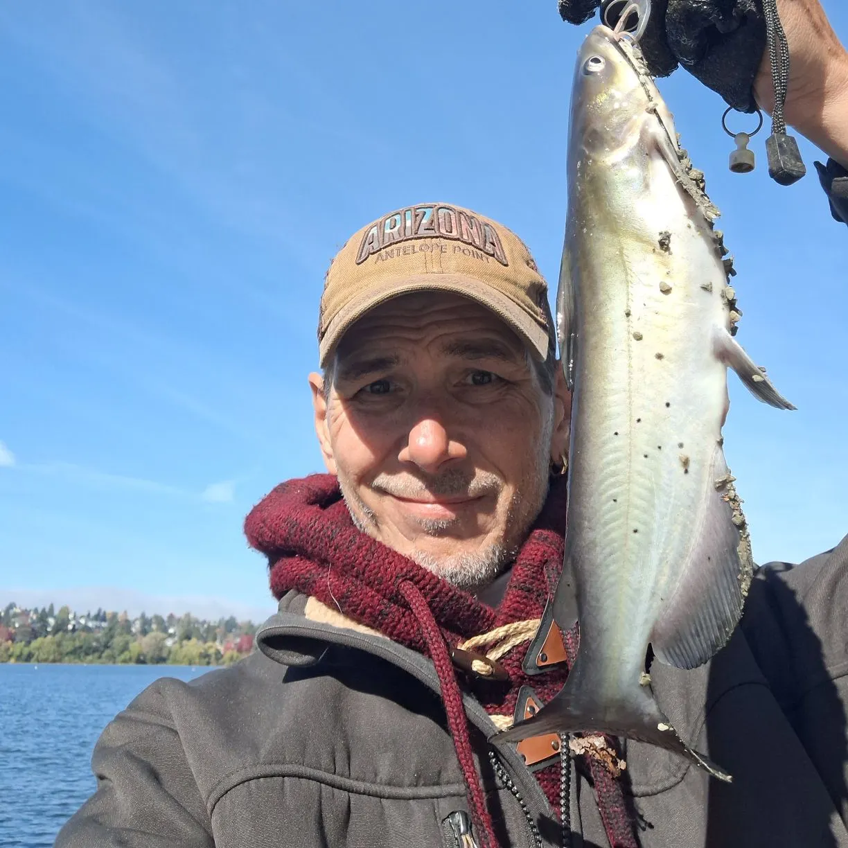 Channel catfish caught on Fishbrain