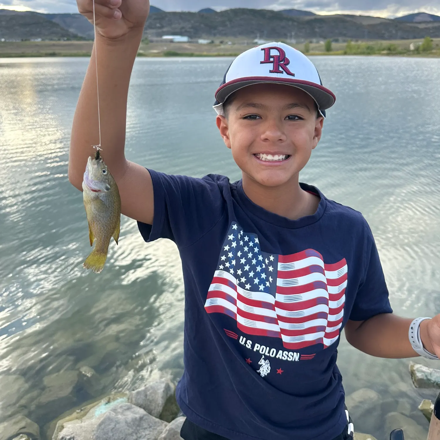 Green sunfish caught on Fishbrain