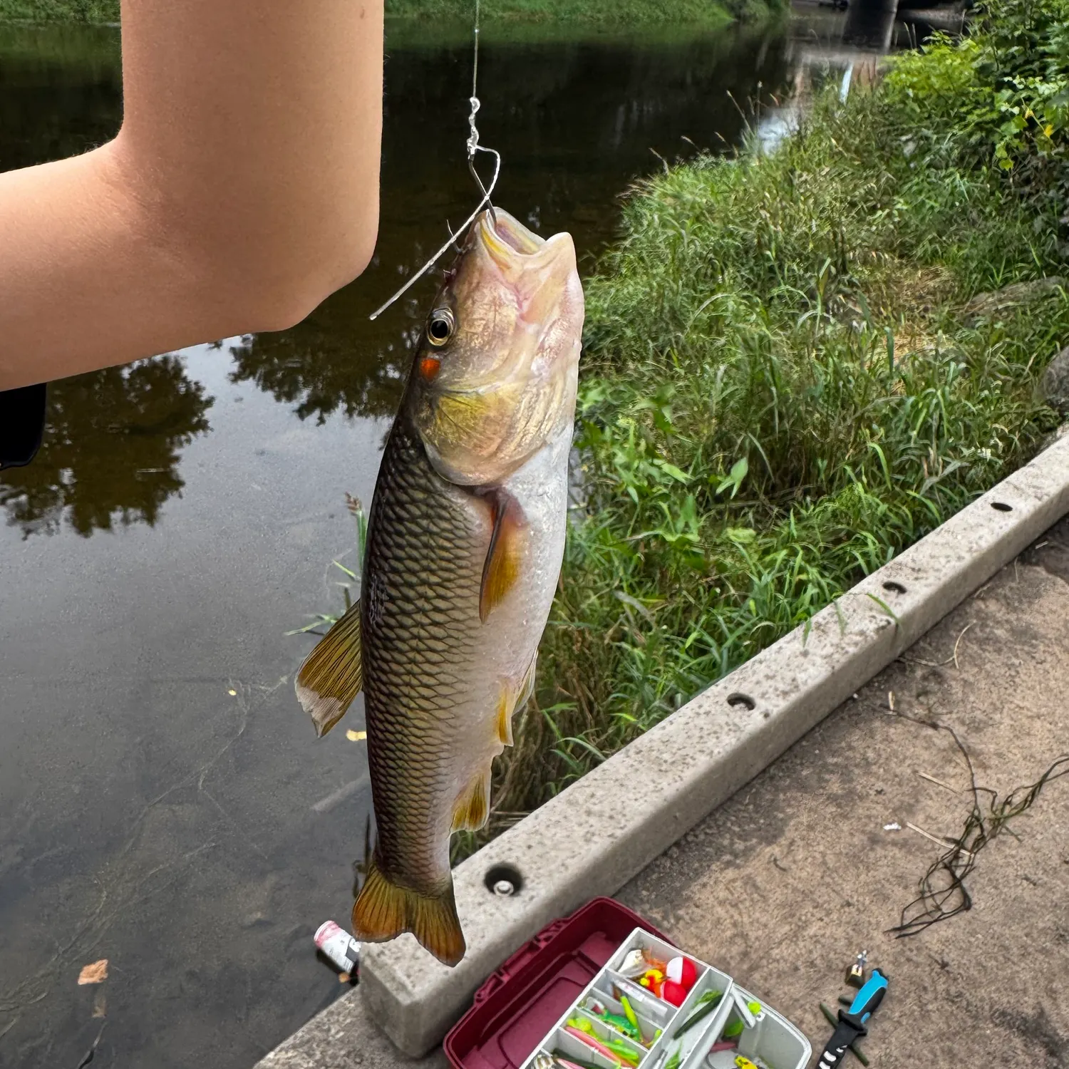 catch