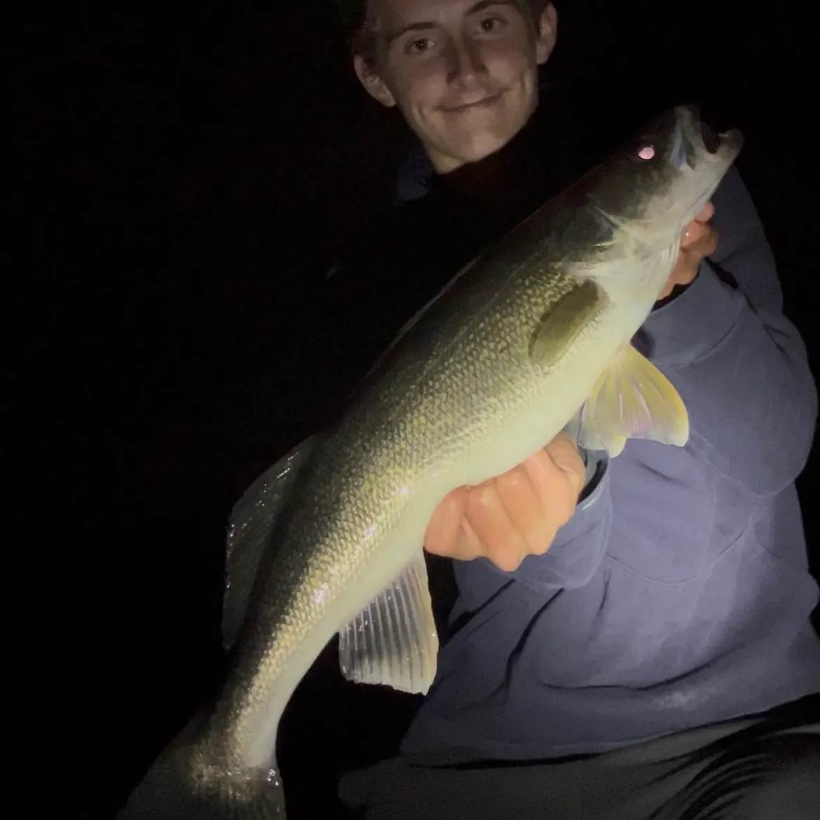 The most recent Walleye catches on Fishbrain