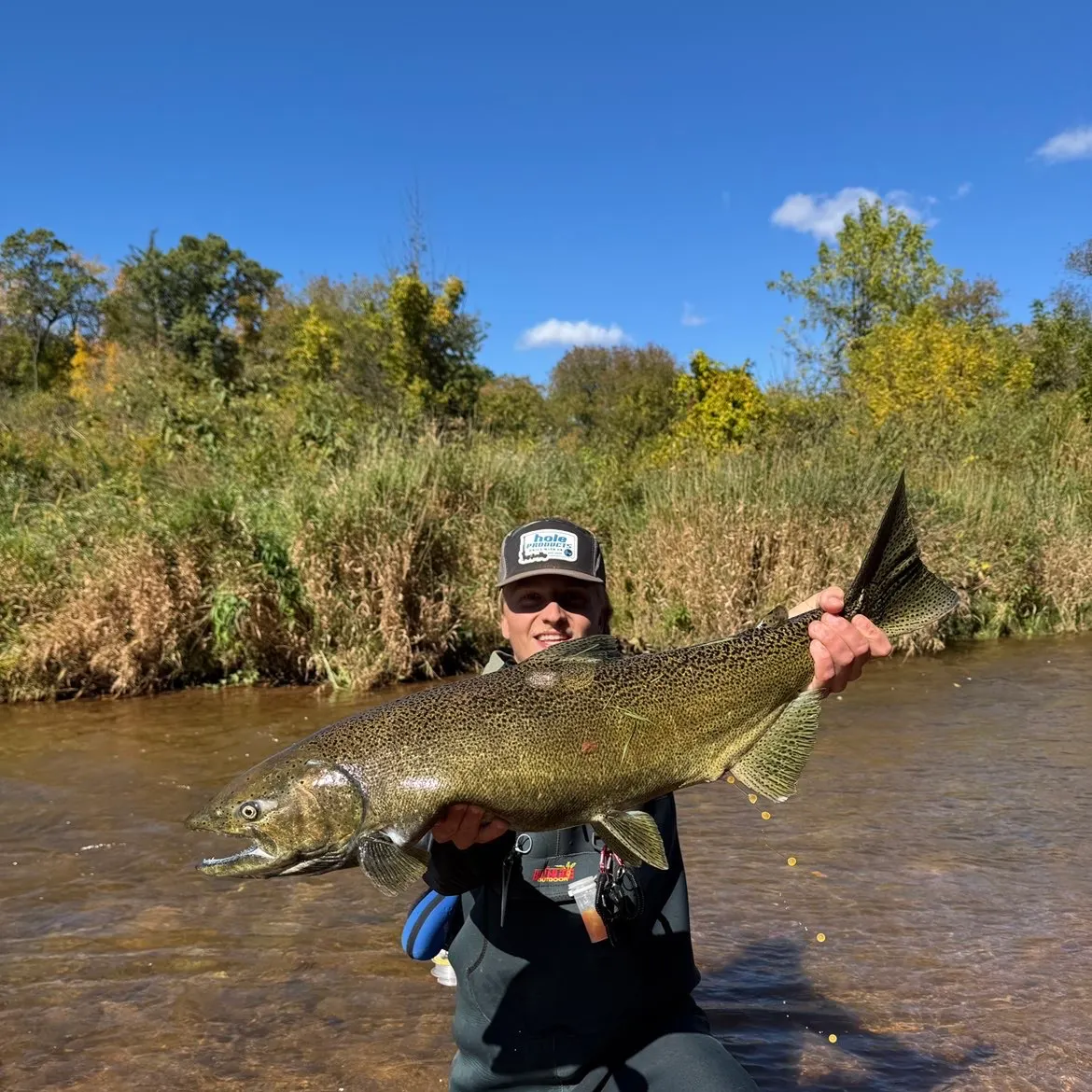 Chinook salmon caught on Fishbrain
