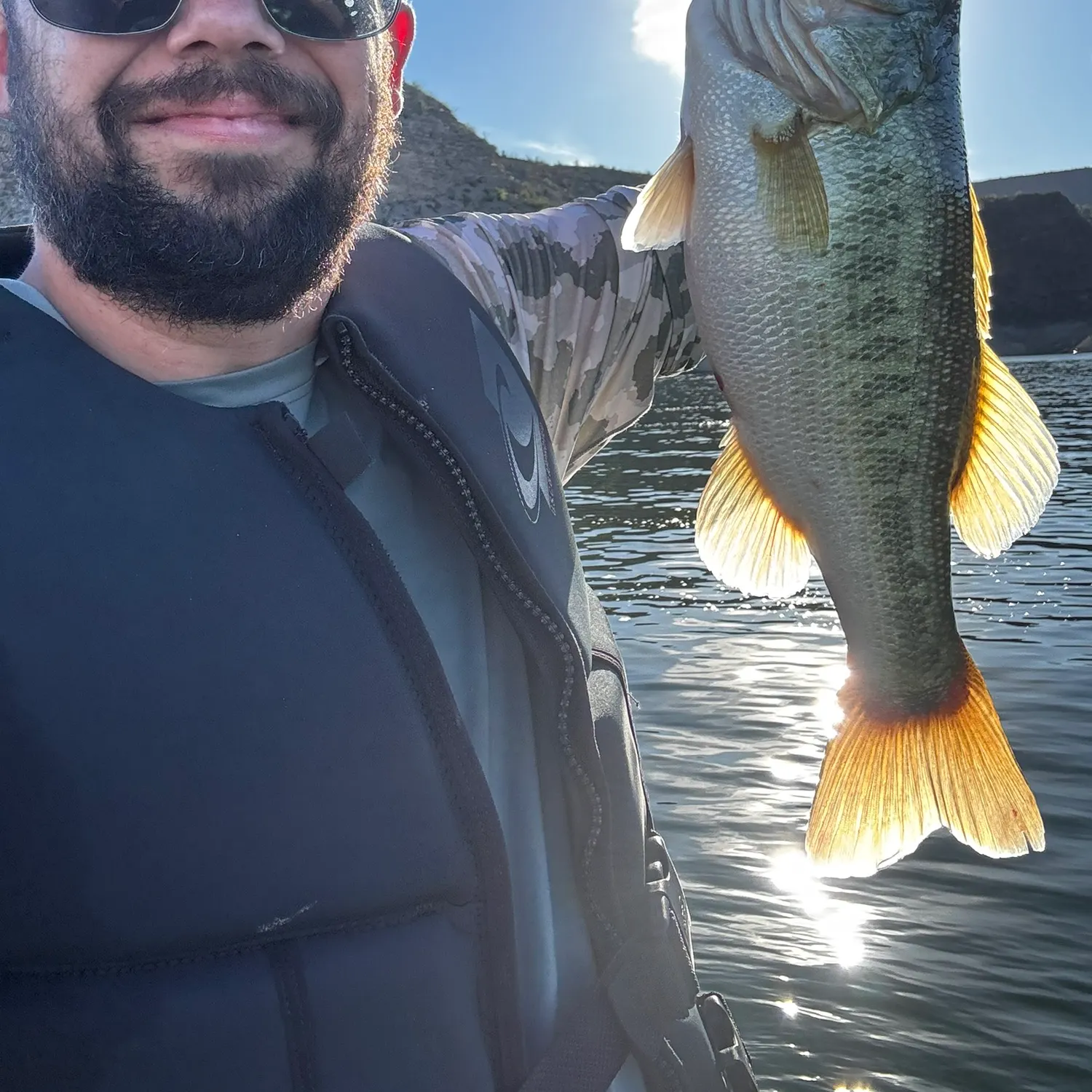 Largemouth bass caught on Fishbrain