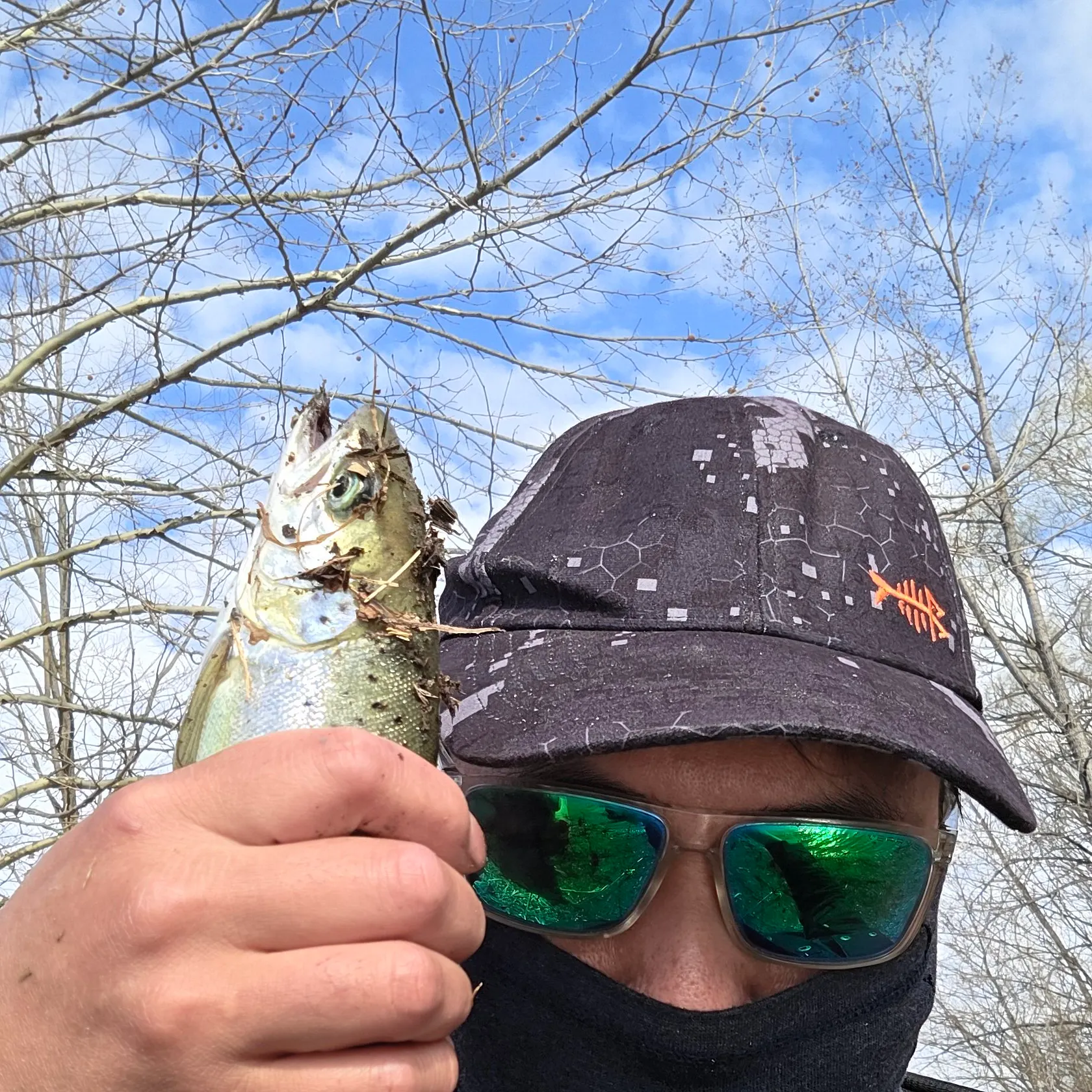 The most recent Landlocked atlantic salmon catches on Fishbrain