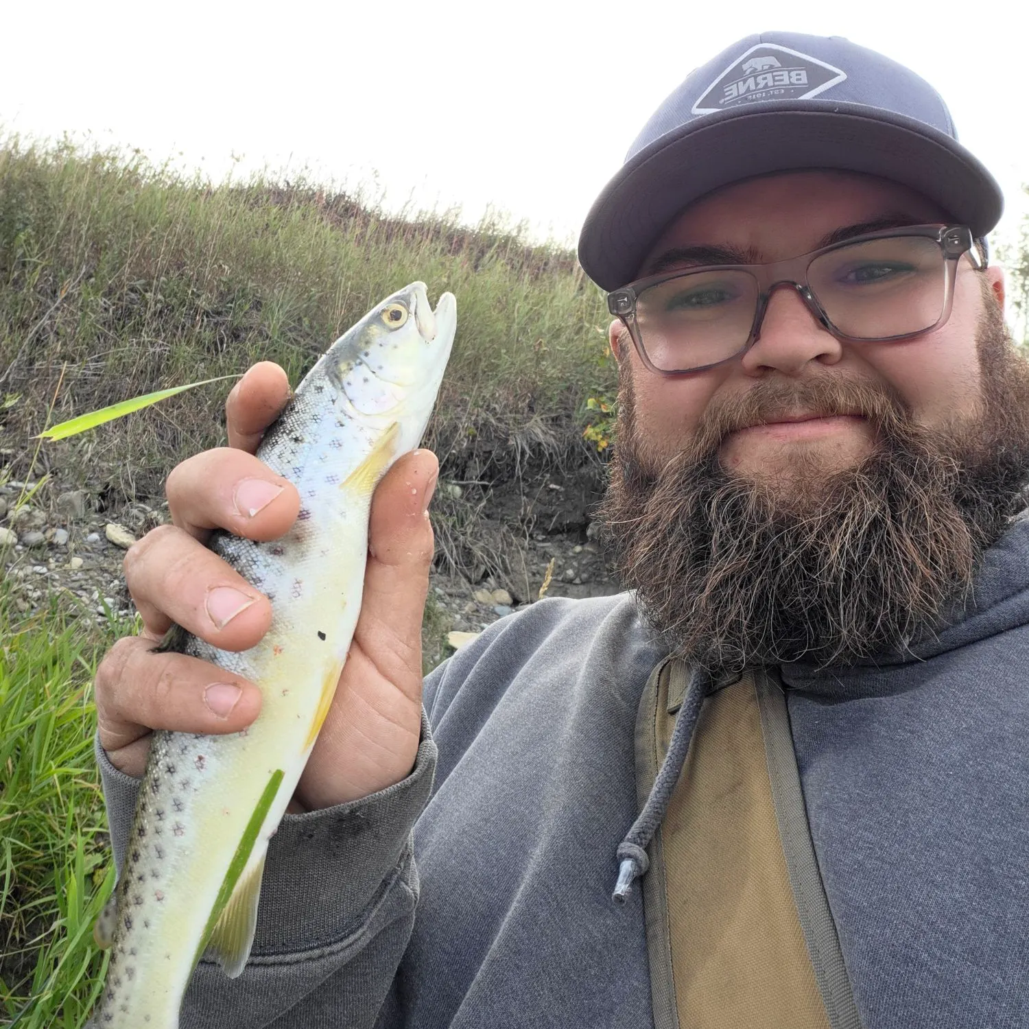 Brown trout caught on Fishbrain
