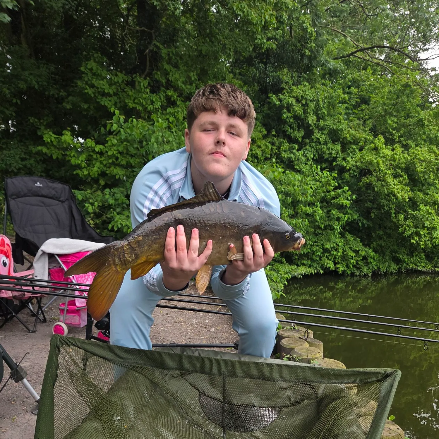Mirror carp caught on Fishbrain