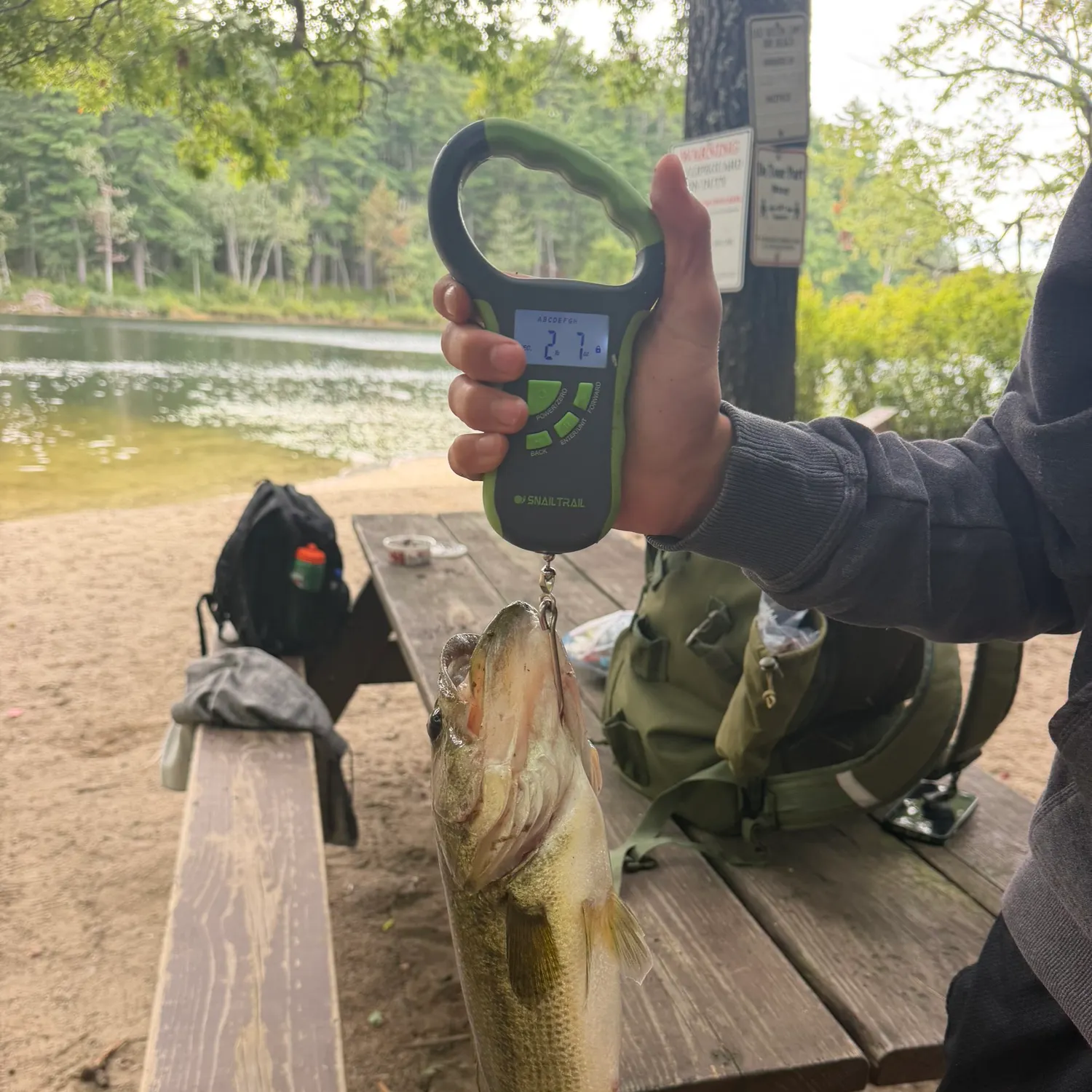 Largemouth bass caught on Fishbrain