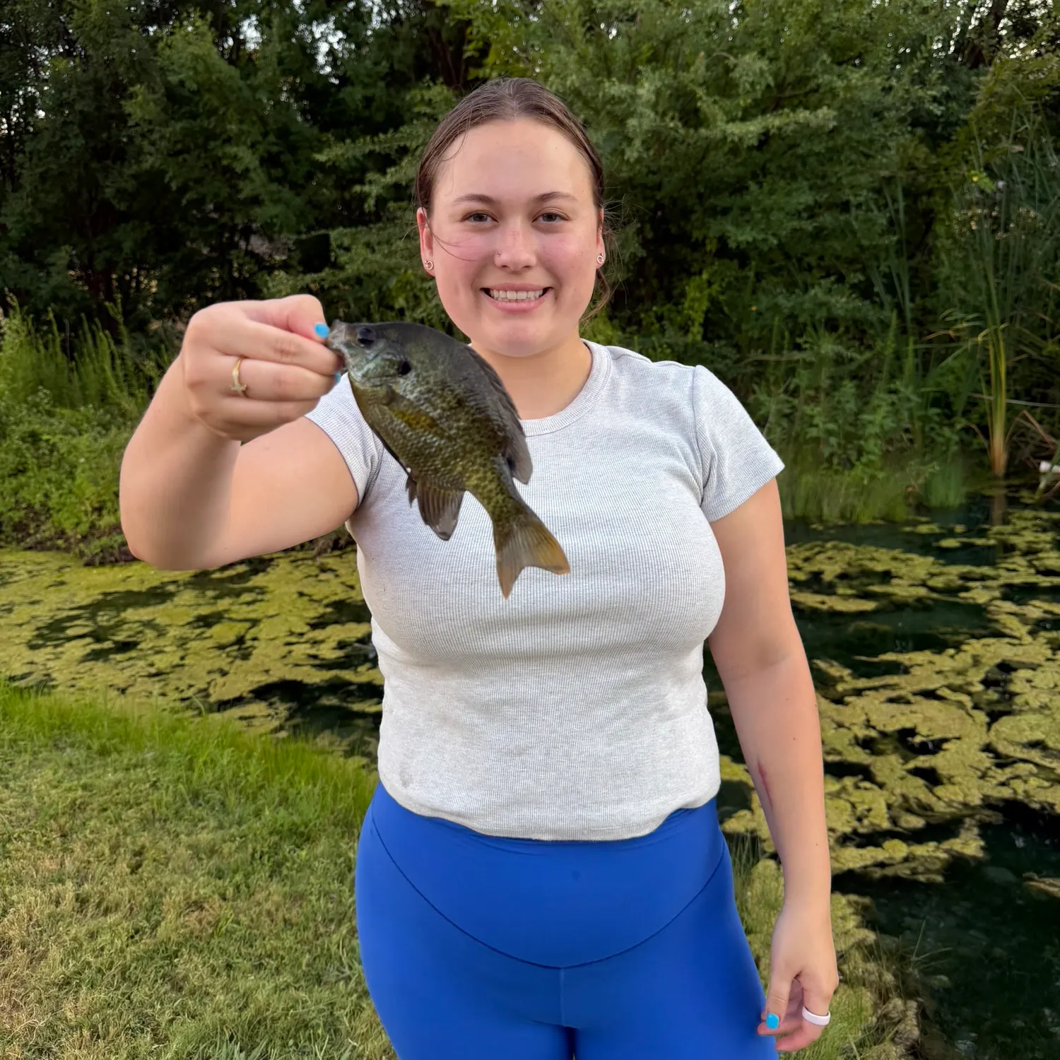 Bluegill caught on Fishbrain