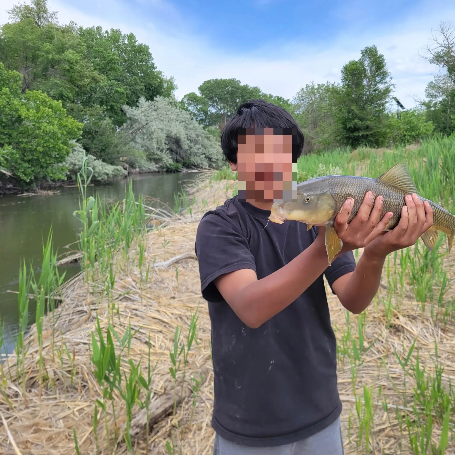 The most recent Sacramento sucker catches on Fishbrain