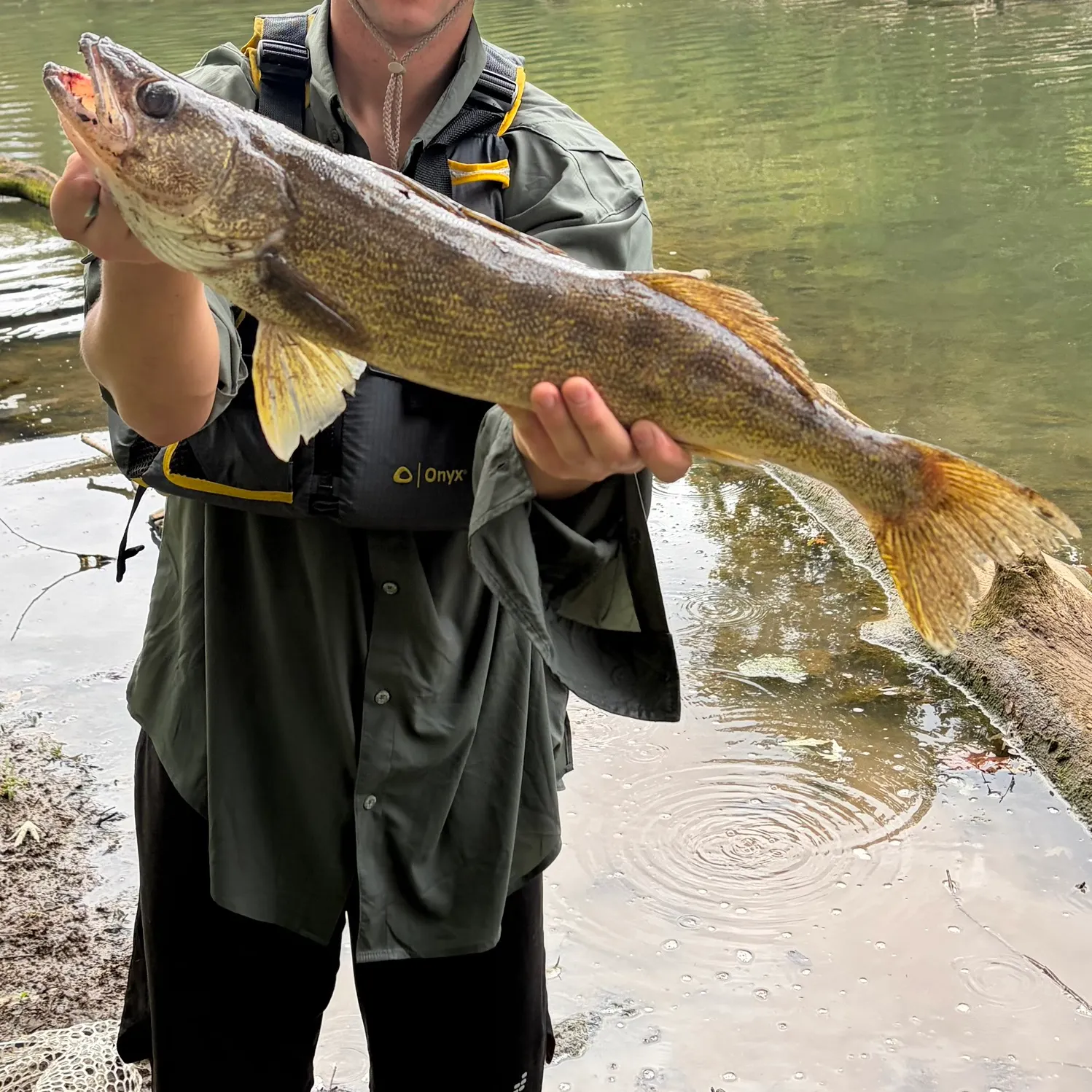 The most recent Saugeye catches on Fishbrain