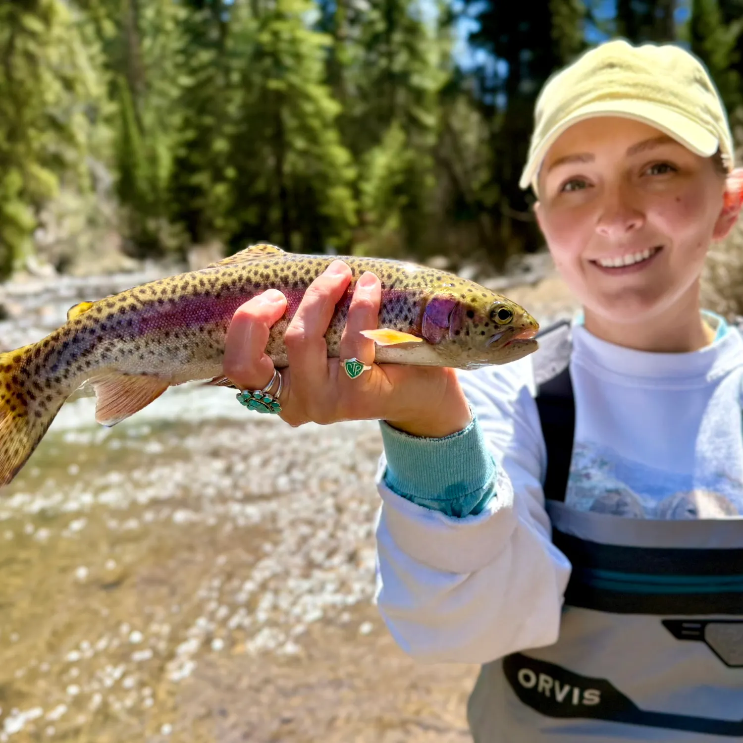 Rainbow trout caught on Fishbrain