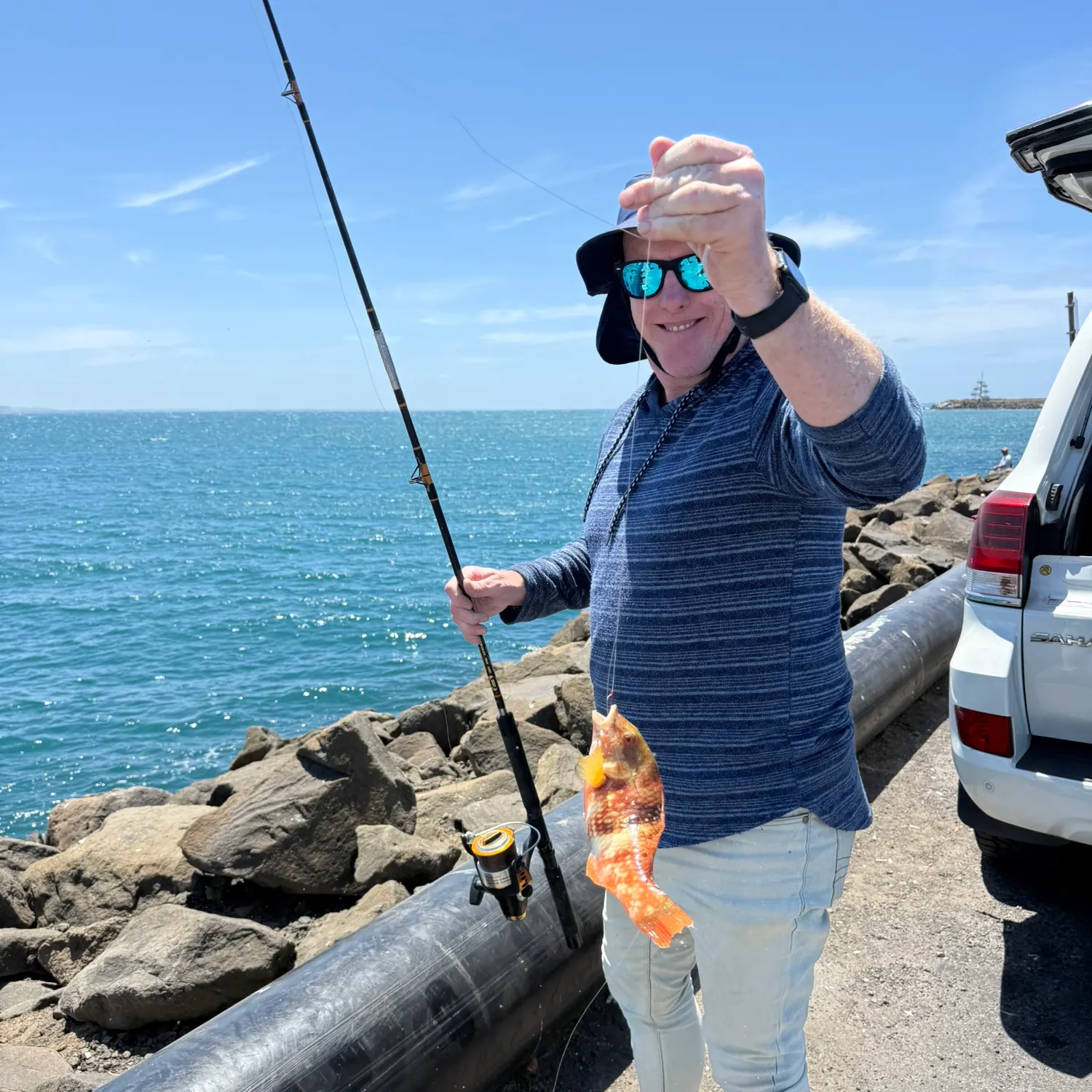 The most recent Brownspotted wrasse catches on Fishbrain