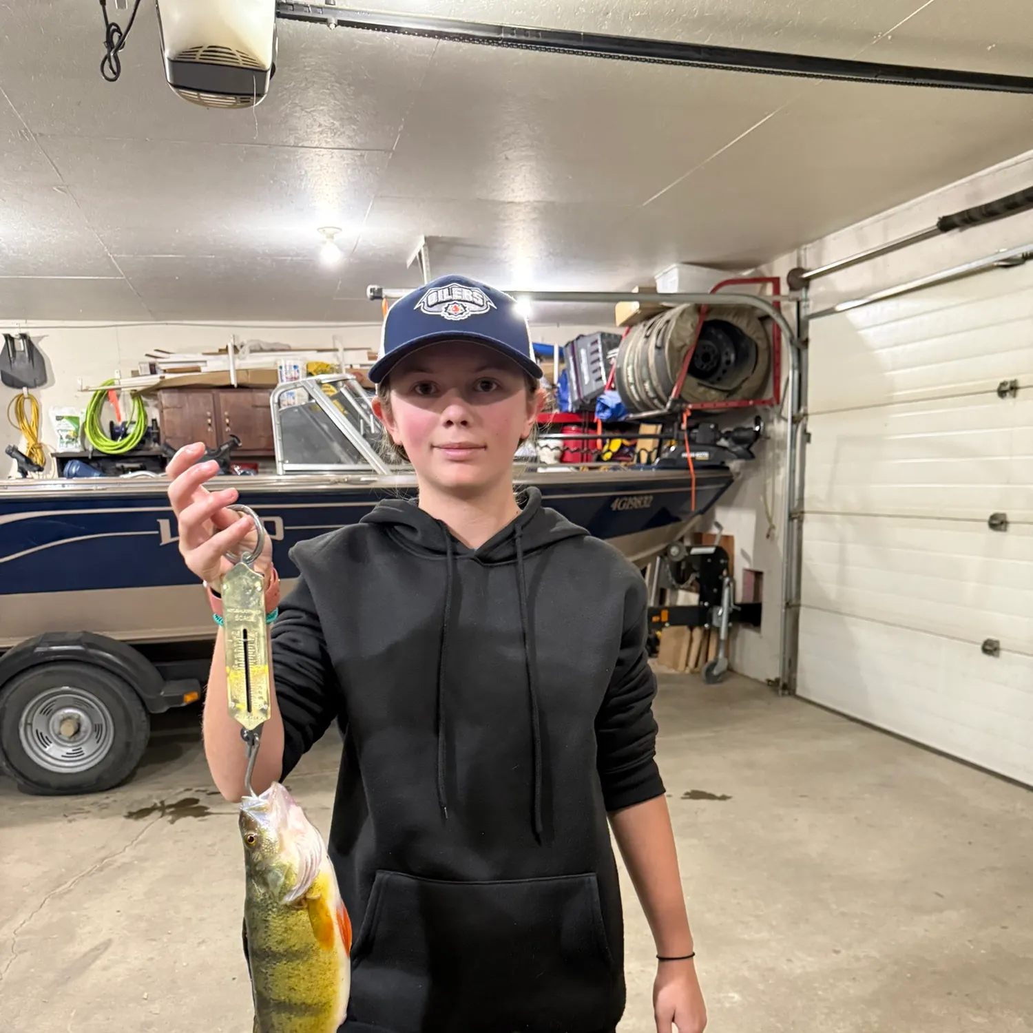 Yellow perch caught on Fishbrain