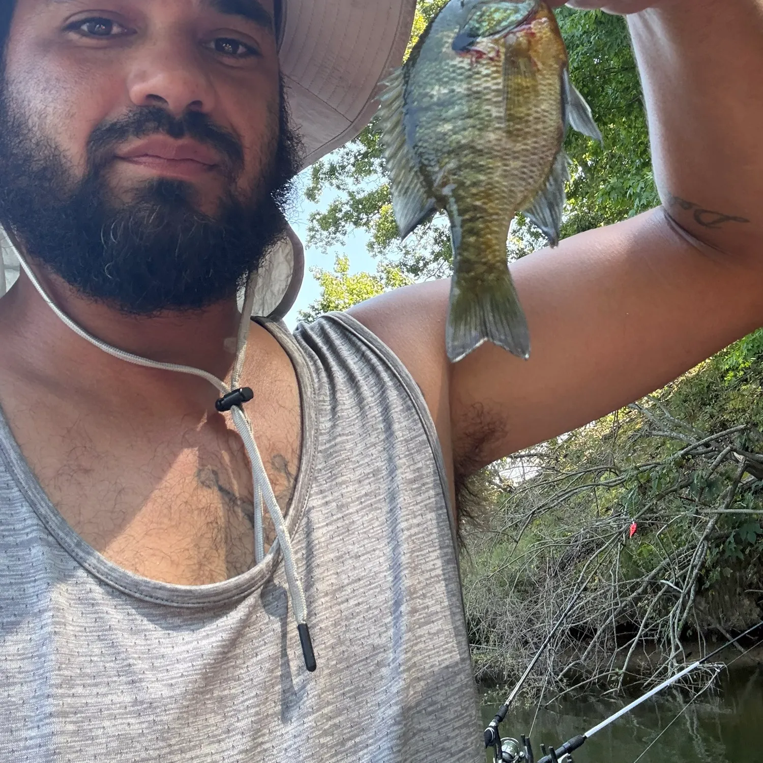 Bluegill caught on Fishbrain