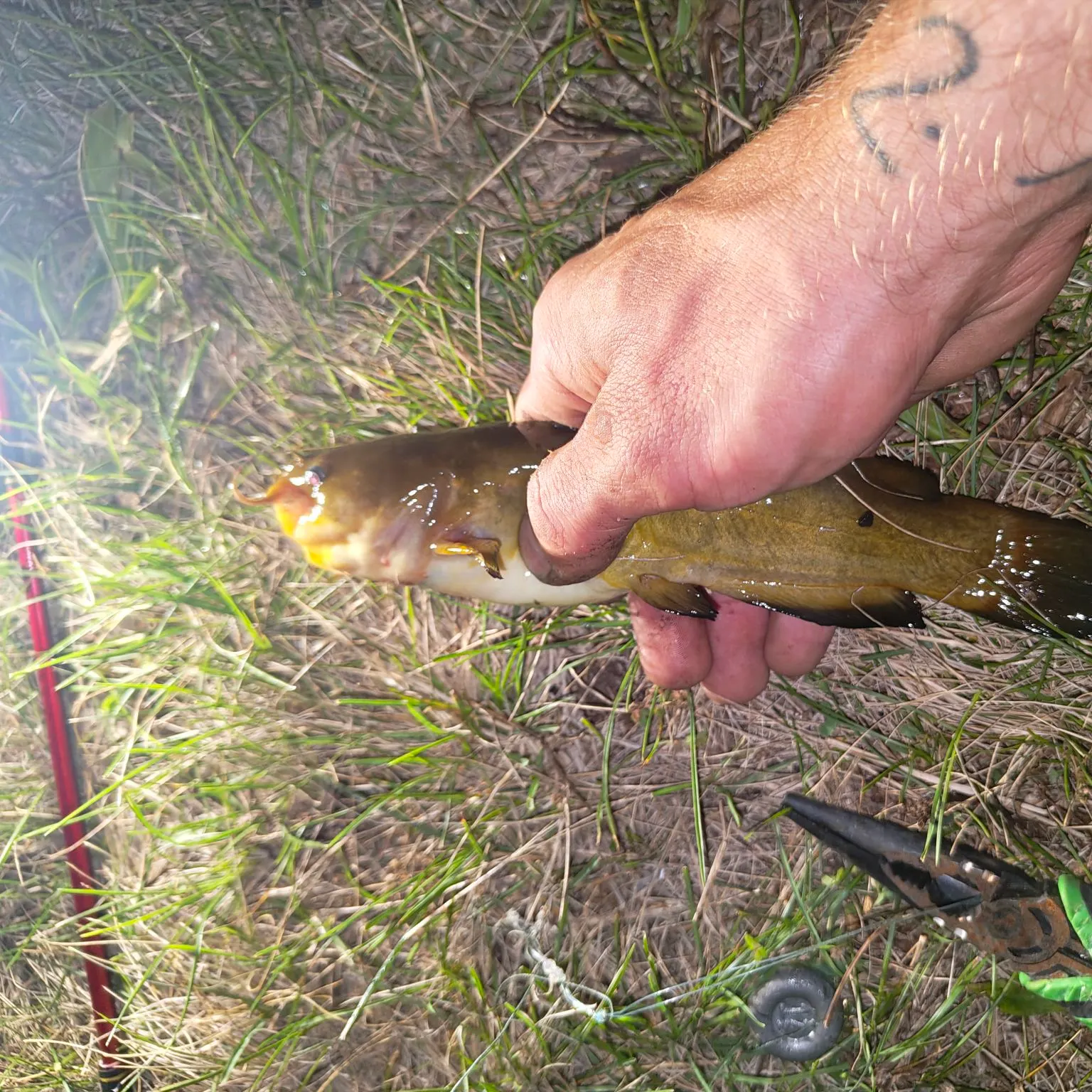 catch