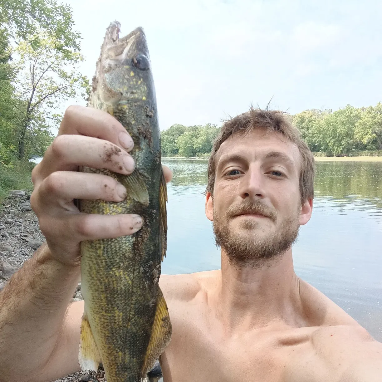 The most recent Walleye catches on Fishbrain