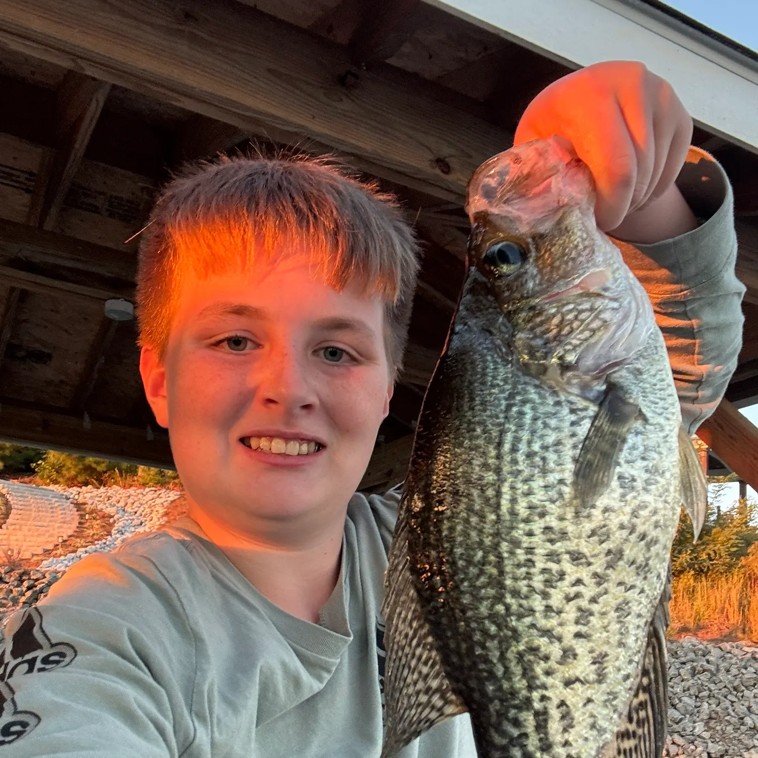 Black crappie caught on Fishbrain