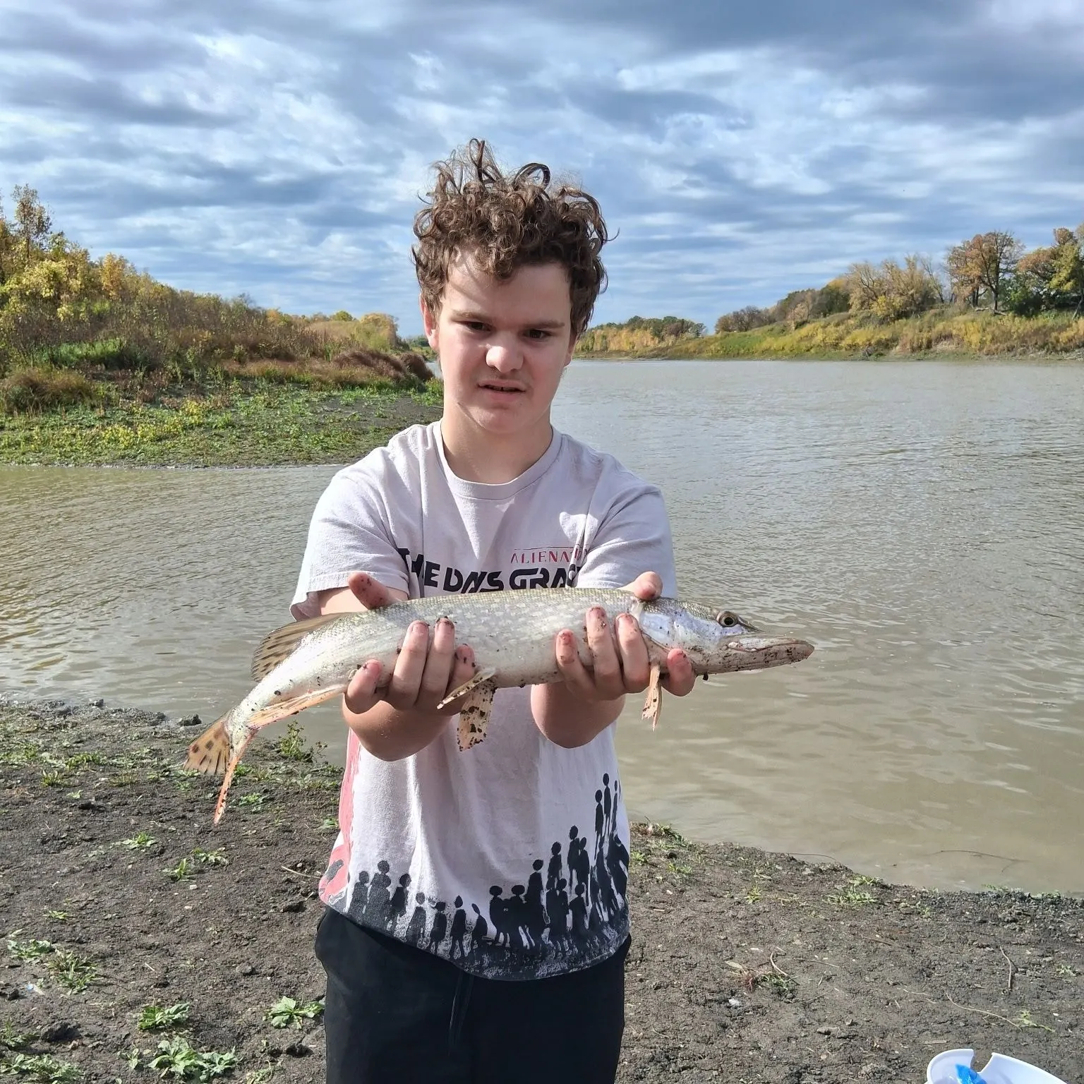Northern pike caught on Fishbrain