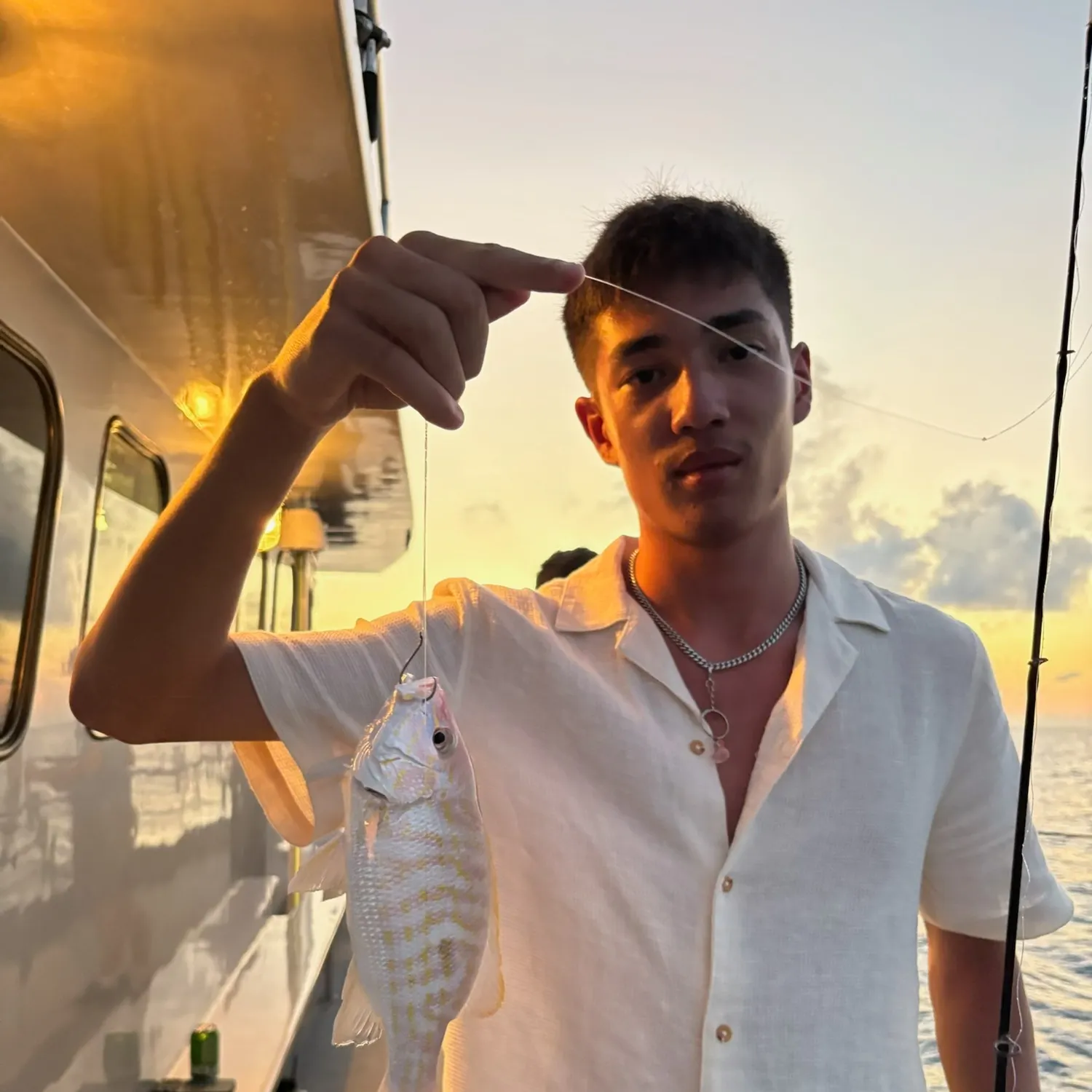 The most recent Spotted rose snapper catches on Fishbrain