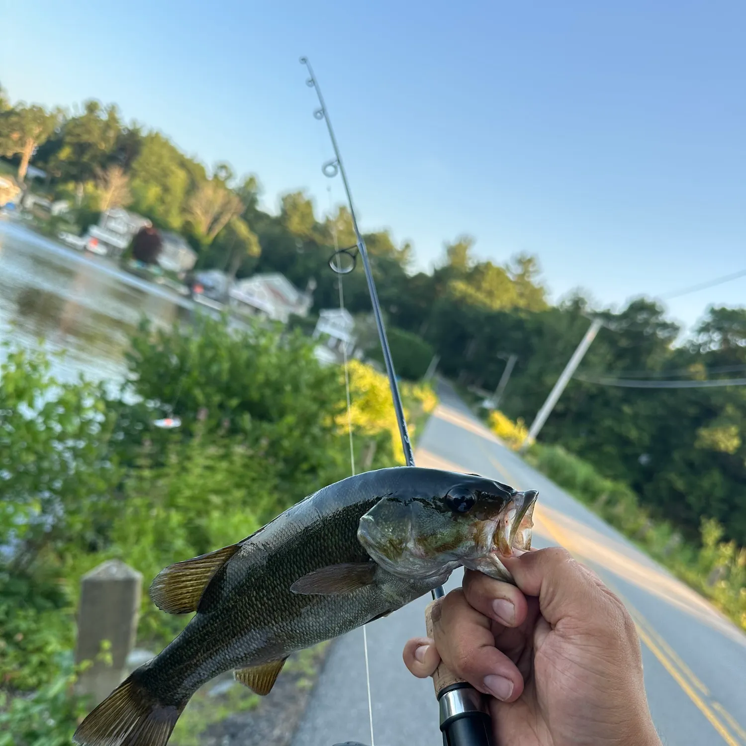 catch