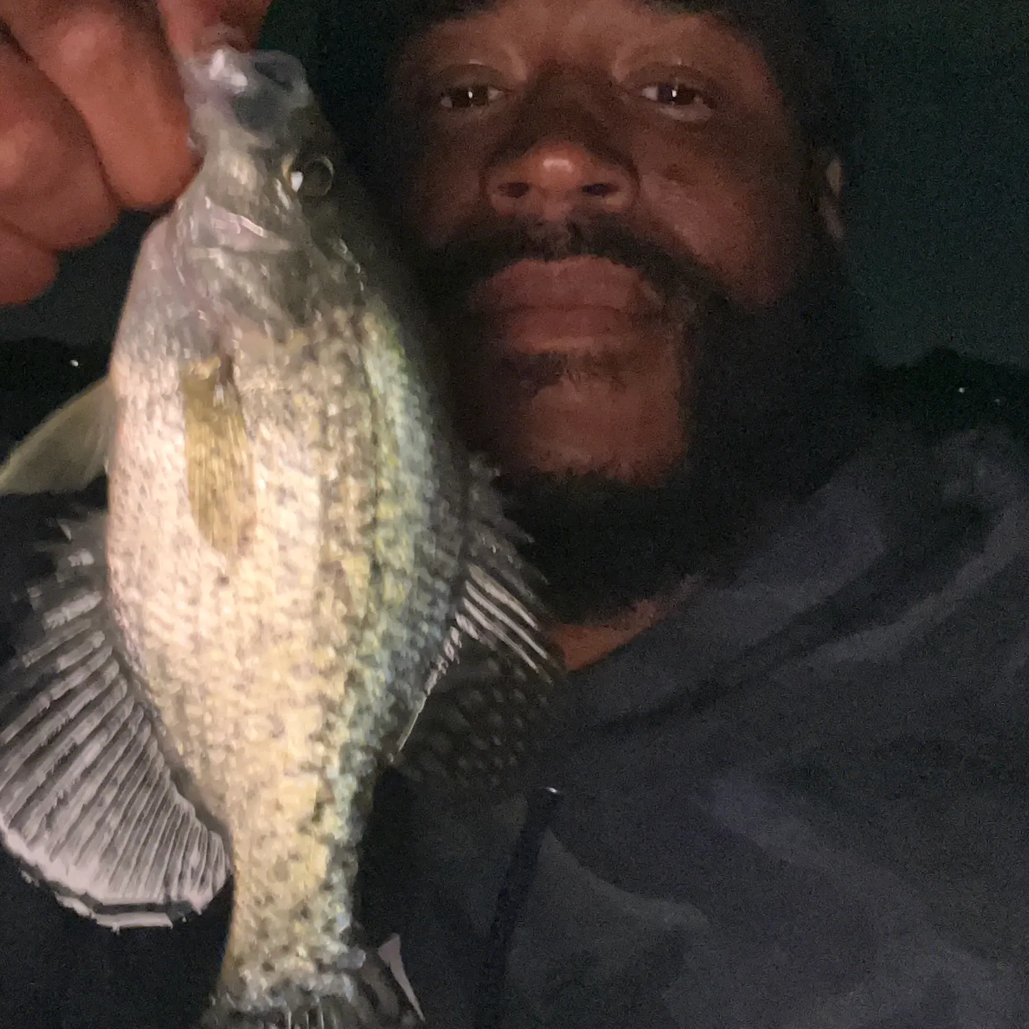 Black crappie caught on Fishbrain