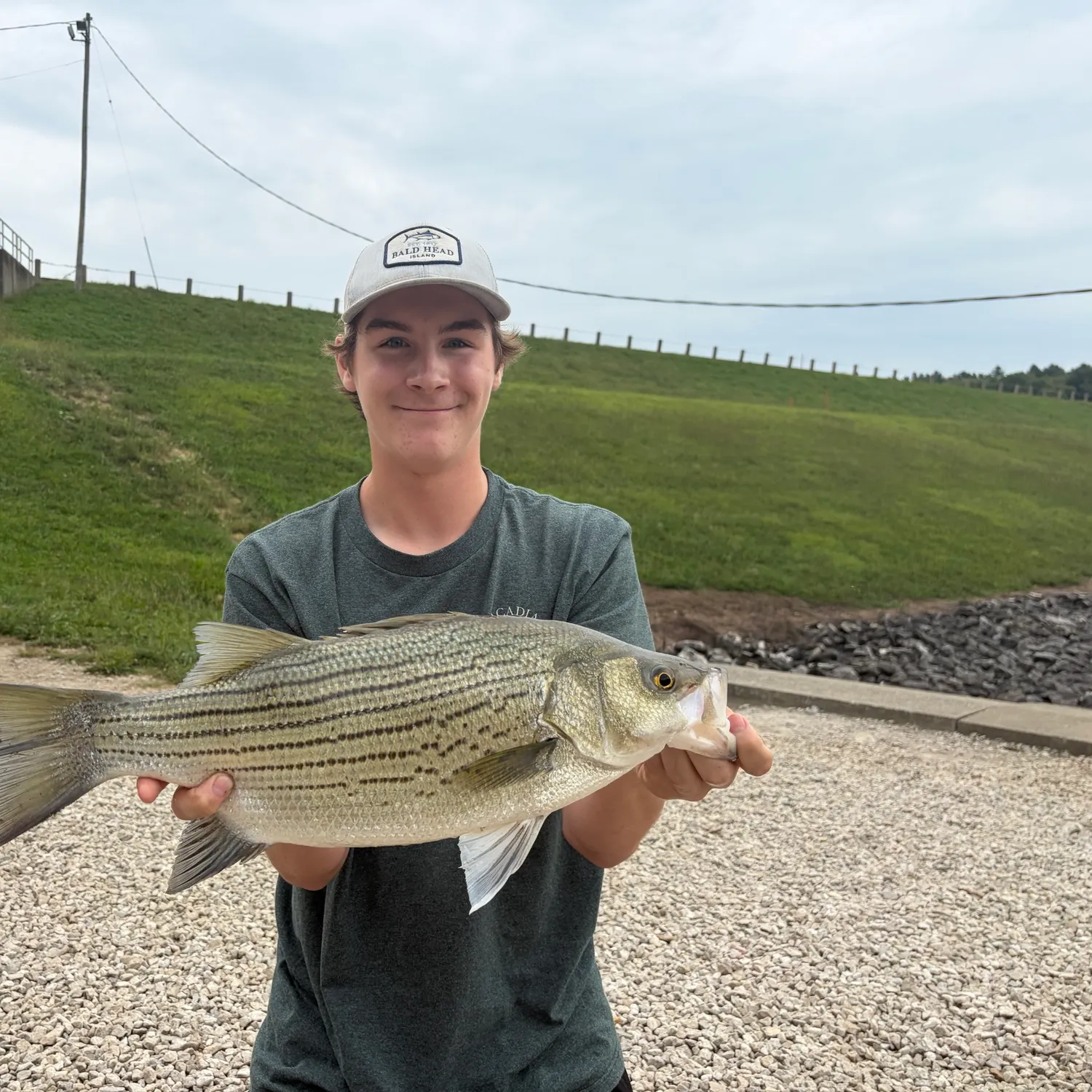Wiper caught on Fishbrain
