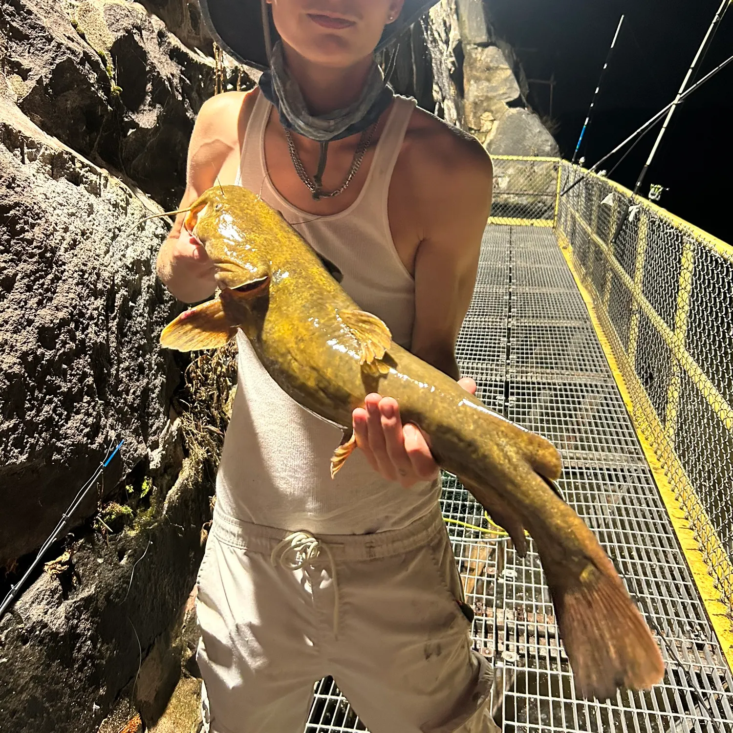 The most recent Flathead catfish catches on Fishbrain