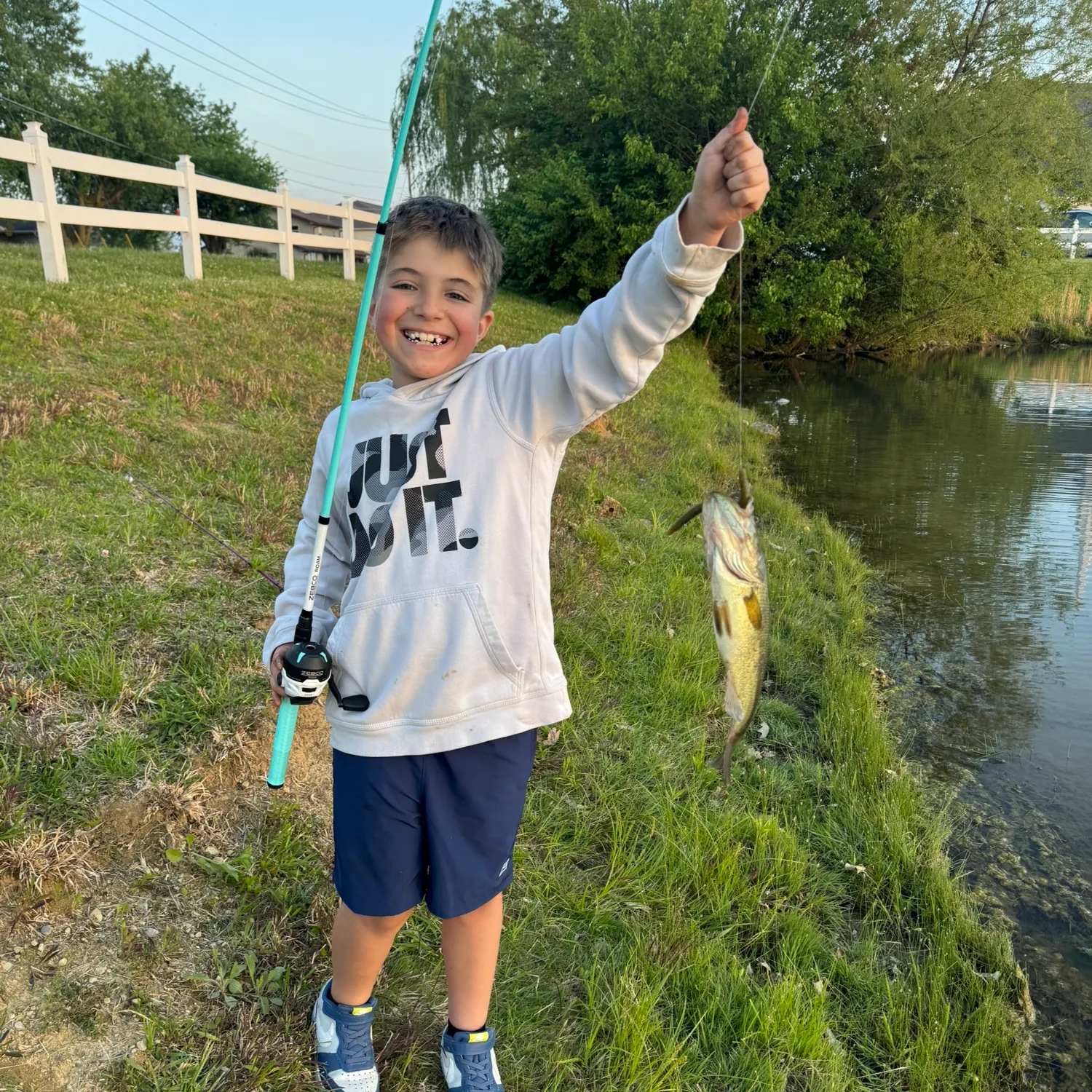 The most recent Pollack catches on Fishbrain