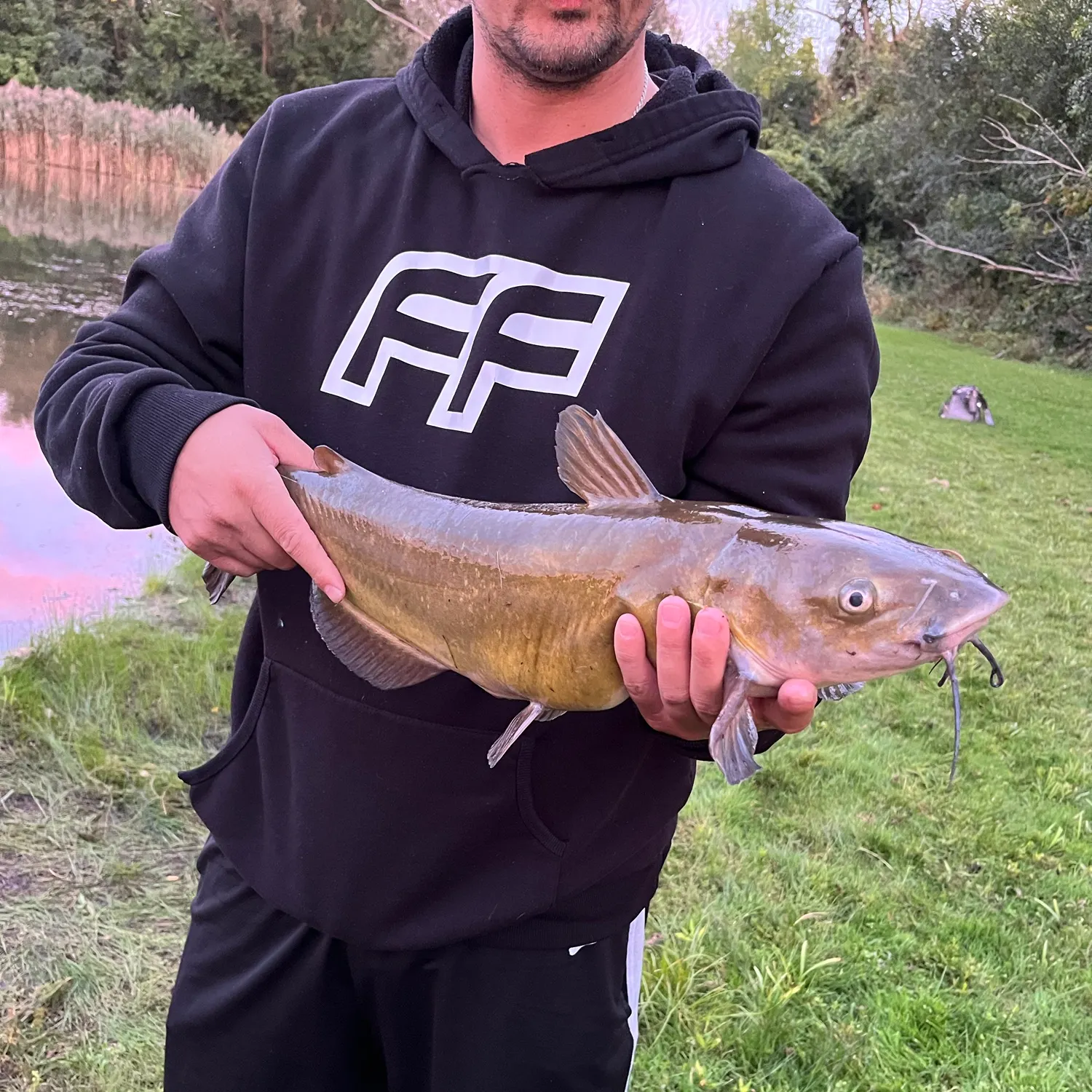 Channel catfish caught on Fishbrain