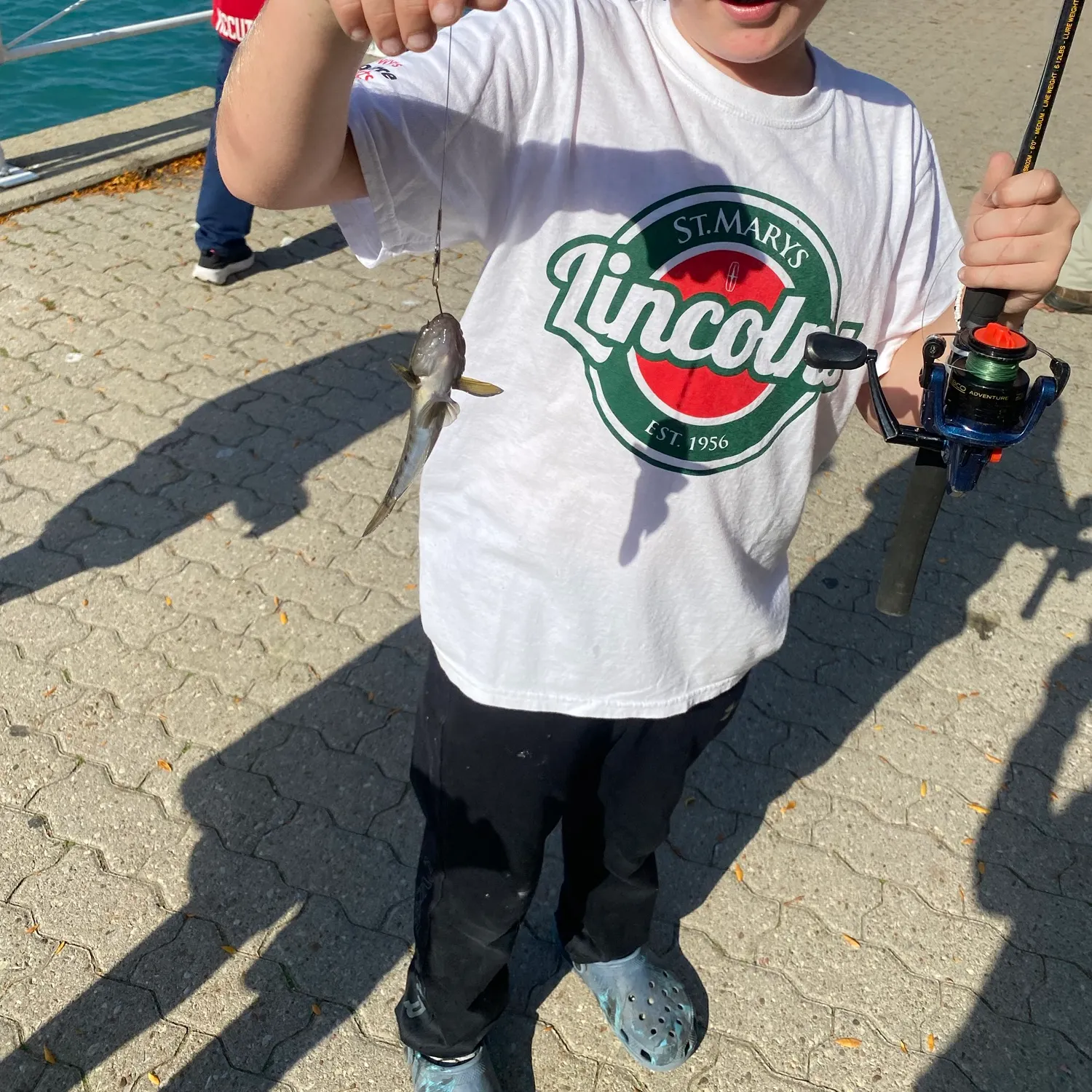 The most recent Black goby catches on Fishbrain
