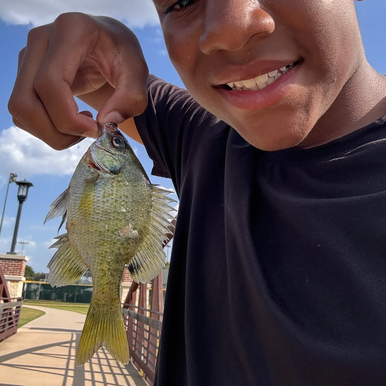 Bluegill caught on Fishbrain