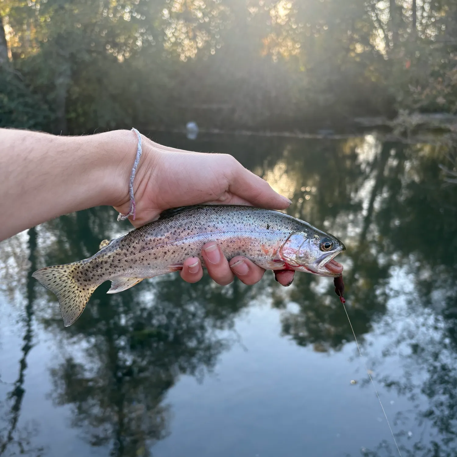 Cutthroat trout caught on Fishbrain