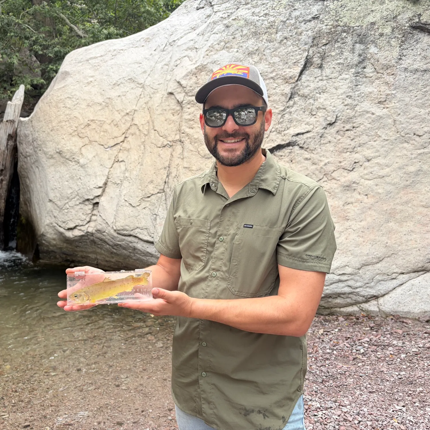 The most recent Gila trout catches on Fishbrain